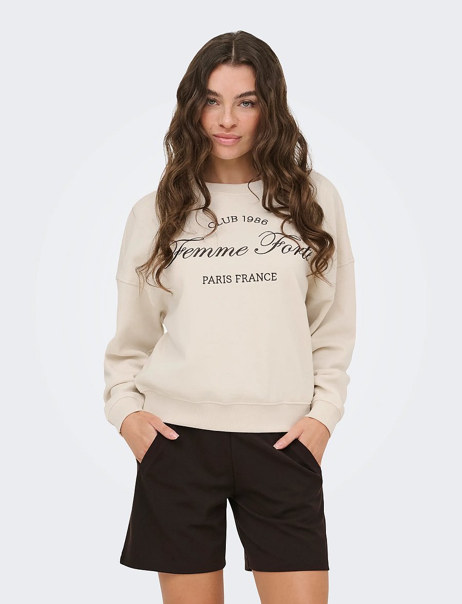 JDY - JDYMESA L/S O-NK EMB SWEAT JRS NOOS - vardagsstil - birch - 0