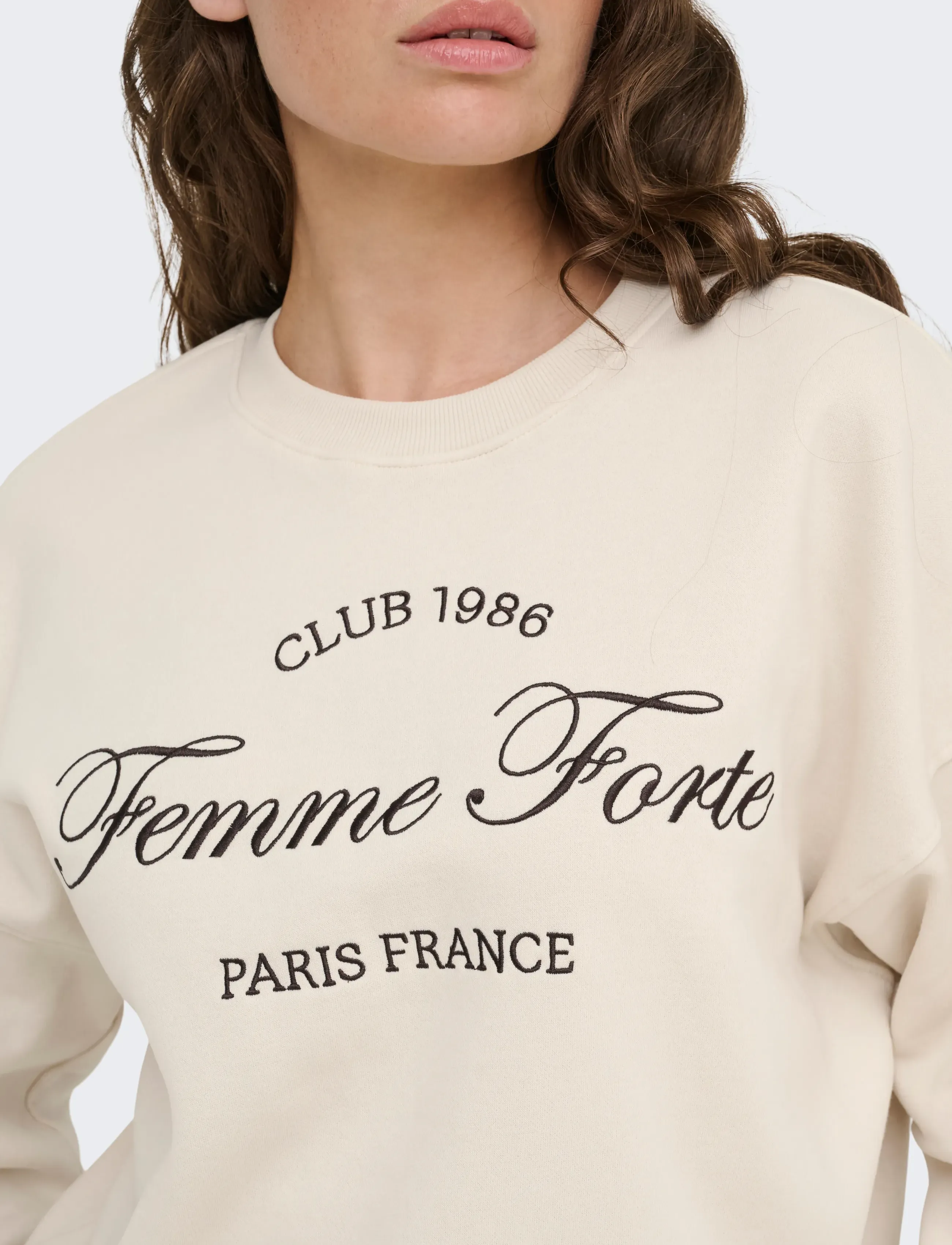 JDY - JDYMESA L/S O-NK EMB SWEAT JRS NOOS - vardagsstil - birch - 5