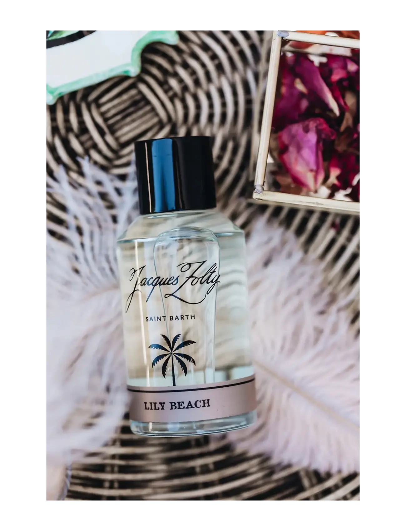 Jacques Zolty - JZ EDP 100 ml LILY BEACH - til ham  - clear - 2