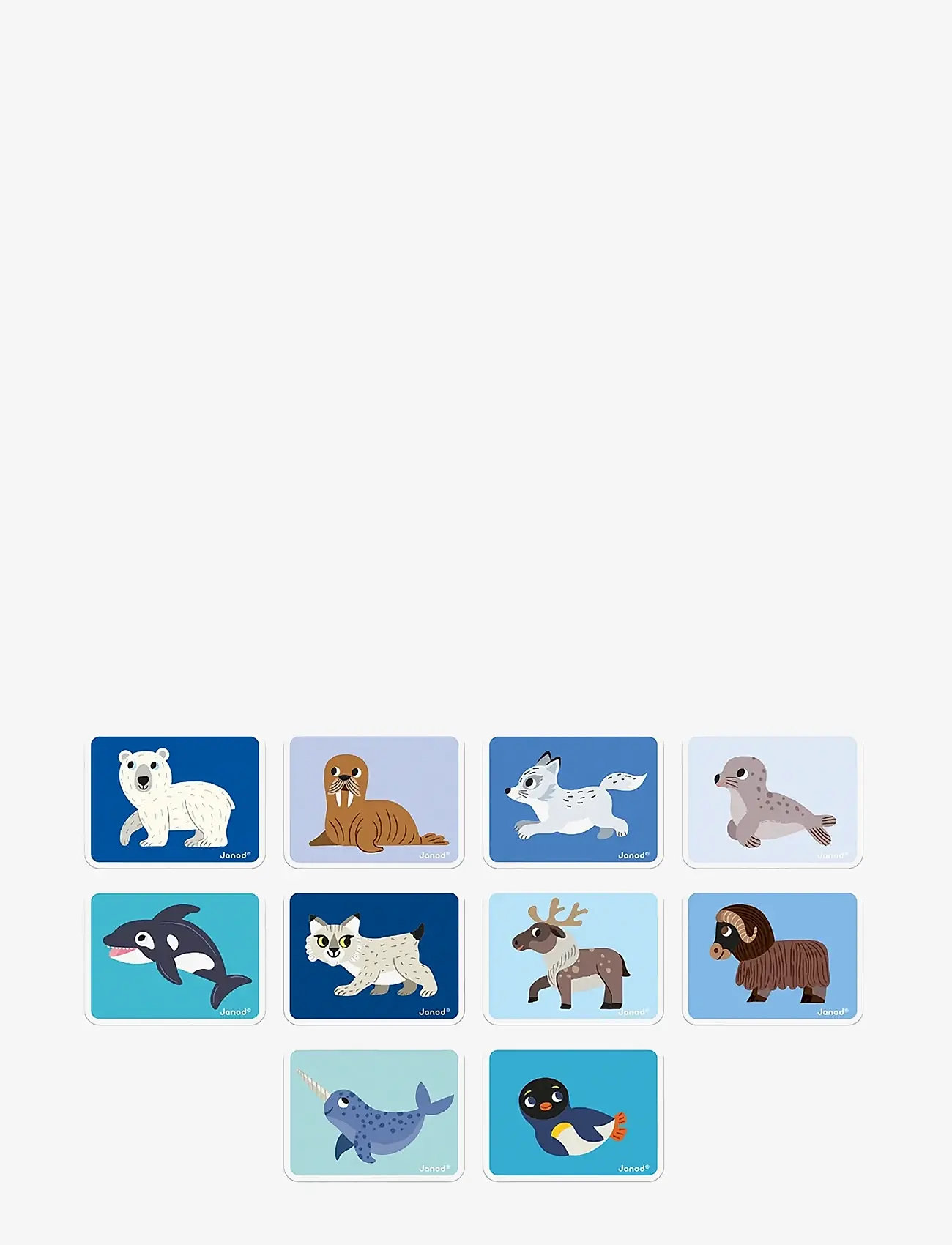 Janod - Magneti'Book Polar Animals - käsitöökomplekt - mulit - 2