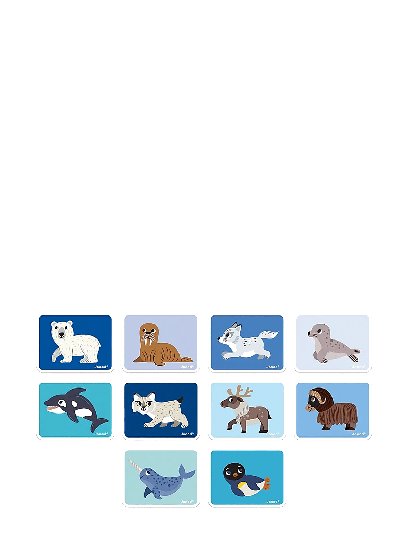 Janod - Magneti'Book Polar Animals - käsitöökomplekt - mulit - 2