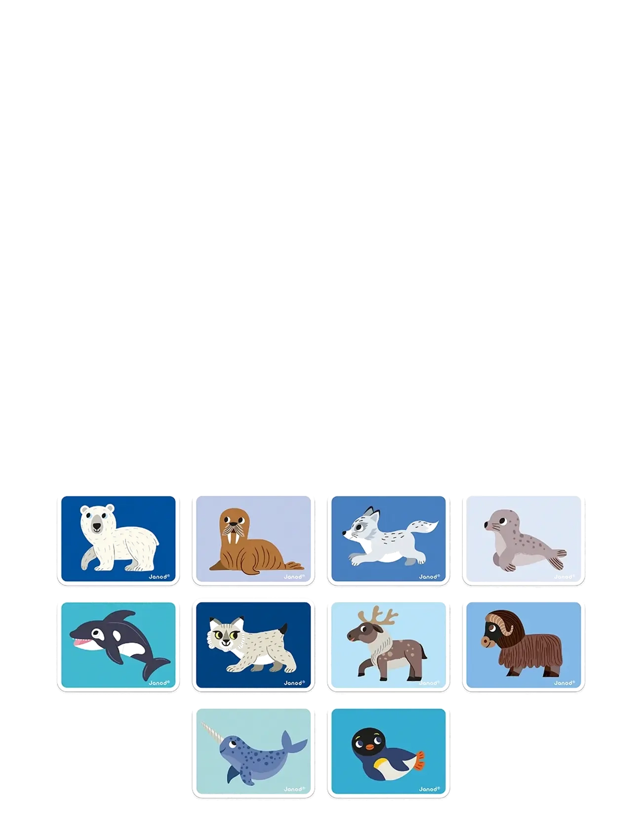 Janod - Magneti'Book Polar Animals - mulit - 2