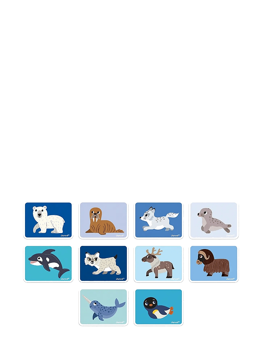 Janod - Magneti'Book Polar Animals - mulit - 2