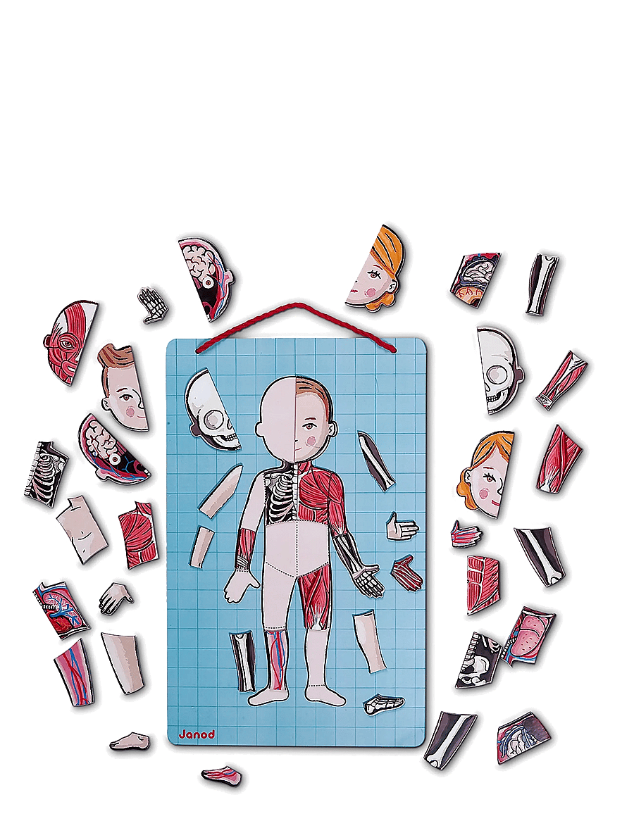 Janod - Janod - Bodymagnet In 12 Languages - multi - 3