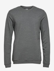 JBS of Denmark - JBS of DK sweatshirt FSC - dressipluusid - darkgrey mel - 0