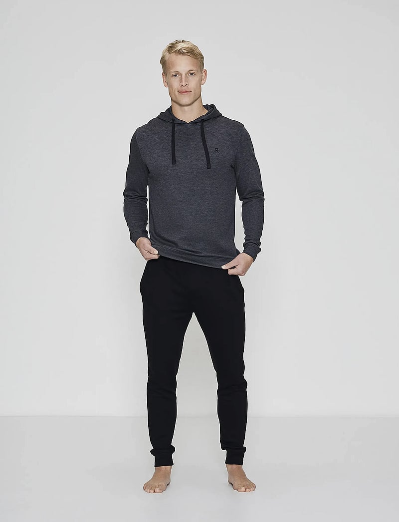JBS of Denmark - JBS of DK hoodie - hoodies - darkgrey mel - 0