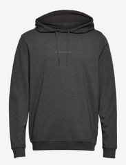 JBS of Denmark - JBS of DK Logo hoodie FSC - hoodies - dark grey - 0