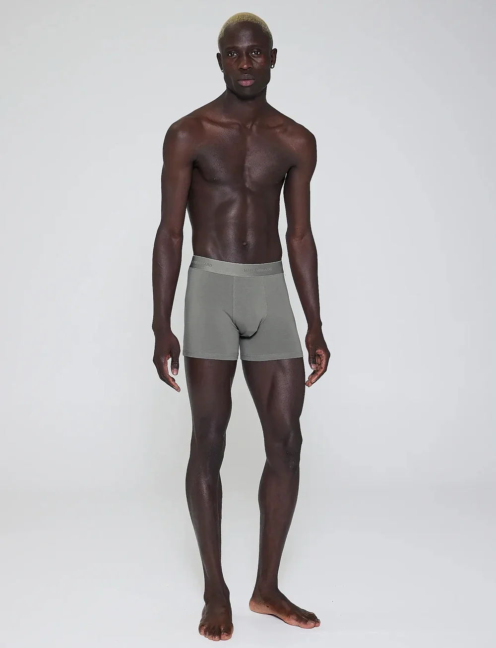 JBS of Denmark - MN x JBS of DK 2-pack tights. - unterhosen im multipack - grey - 0