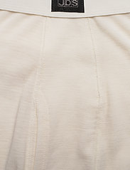 JBS - JBS, long johns - iekšējais slānis – apakšējais apģērbs - white - 2