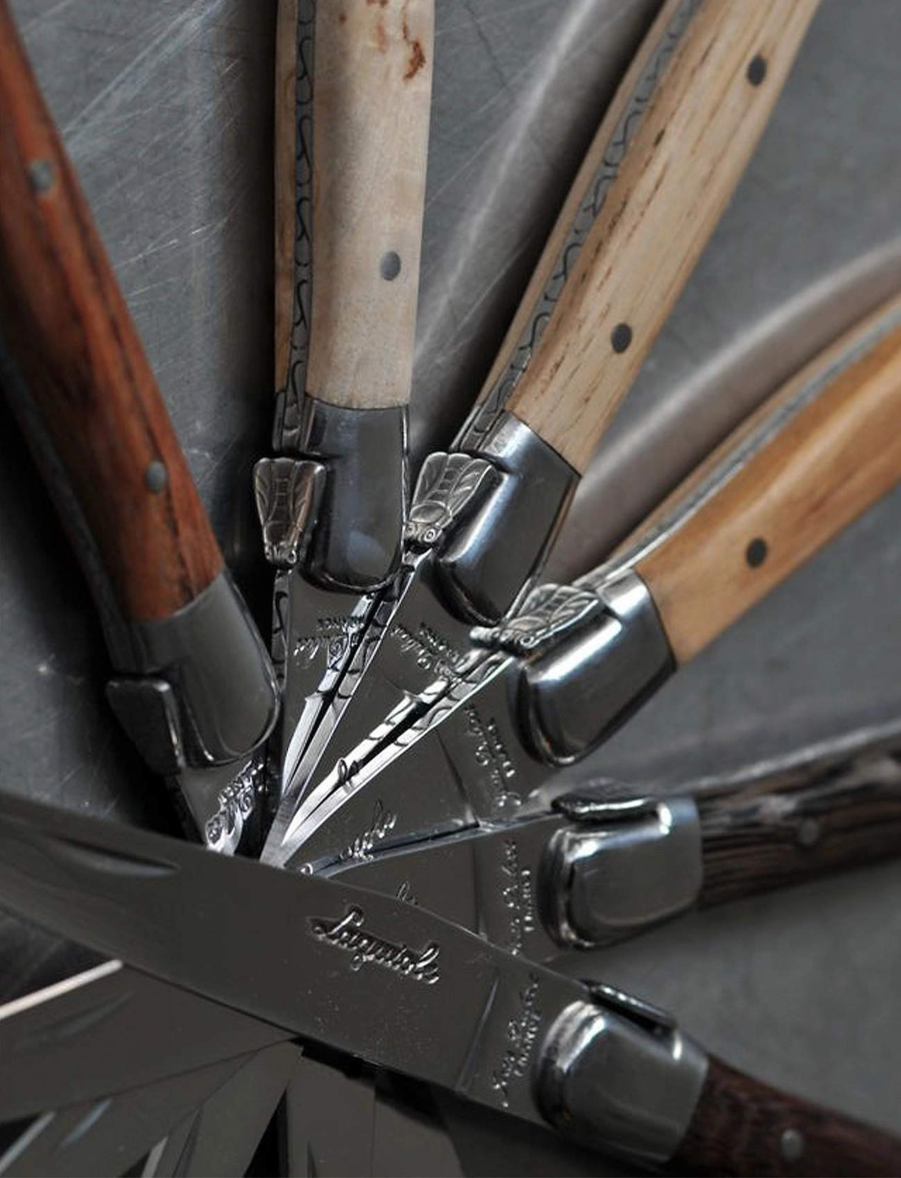 Jean Dubost - Knife set Laguiole - stalo įrankių komplektai - white - 1