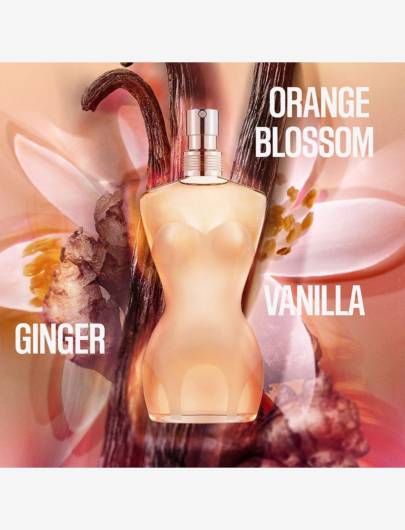 Jean Paul Gaultier - CLASSIQUE EAU de TOILETTE - parfym  - clear - 2