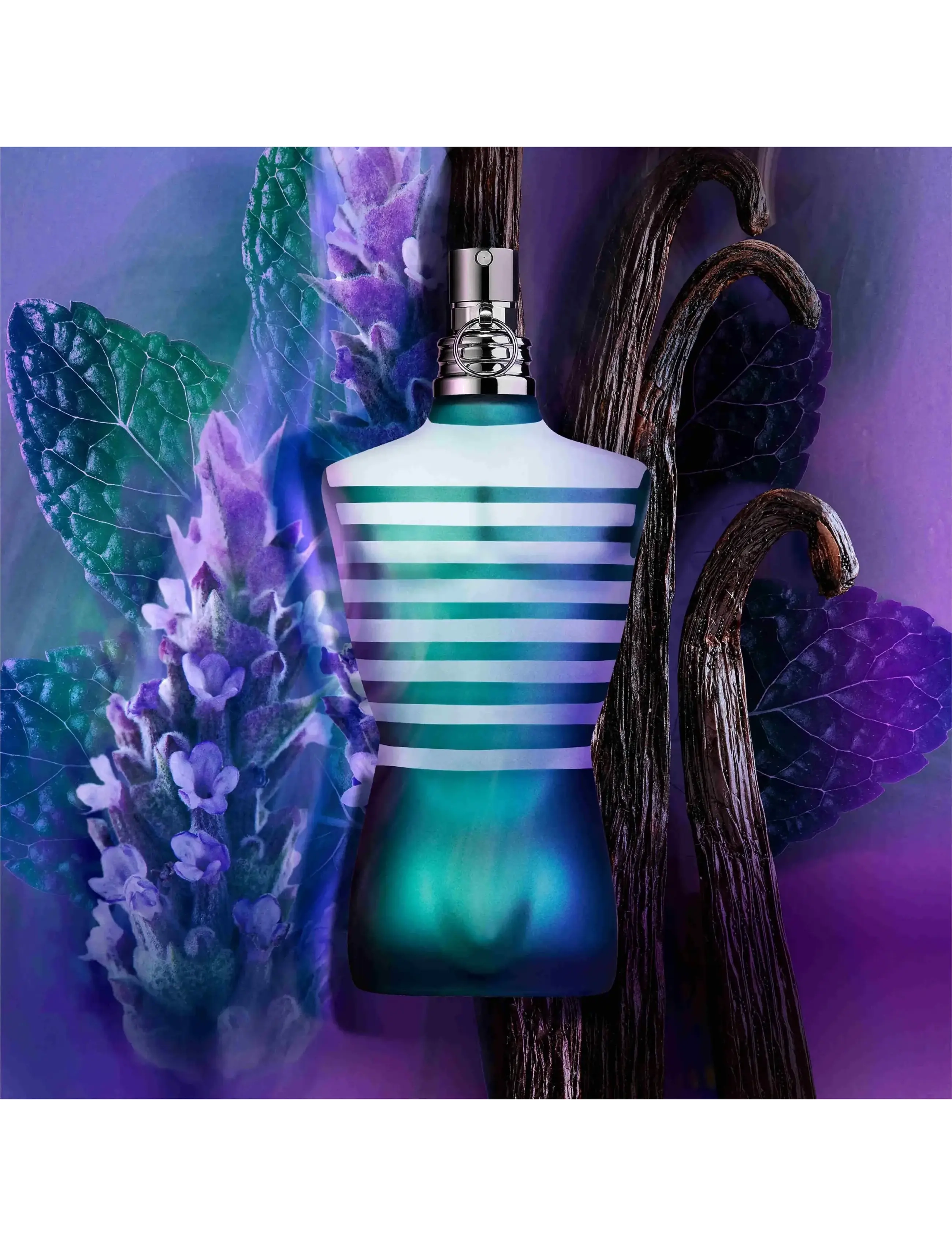 Le Male Eau de Toilette Noter av Mynta, Lavendel och Vanilj 4