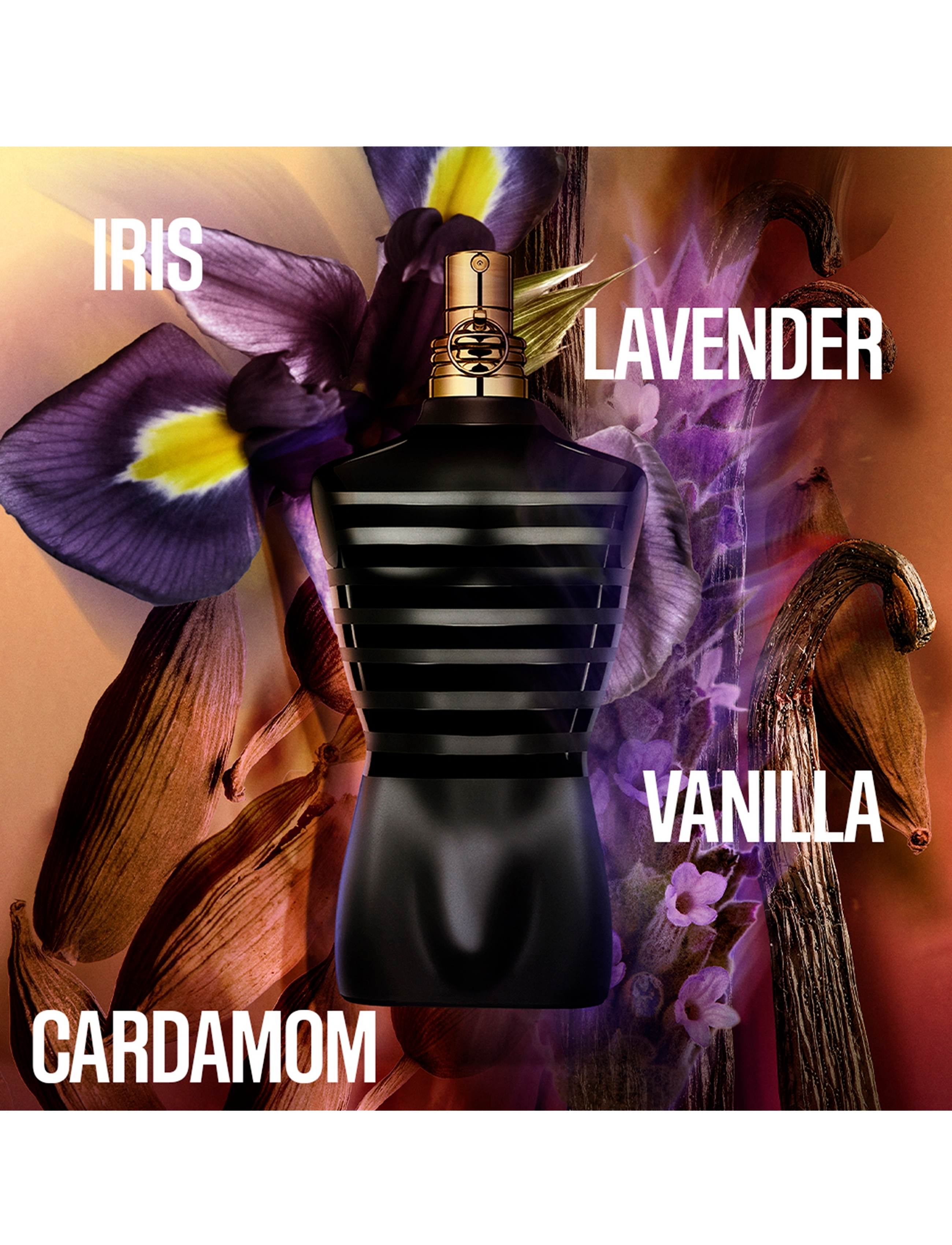 Le Male Le Parfum Eau de Parfum Intense Kardemumma, Lavendel & Iris 5