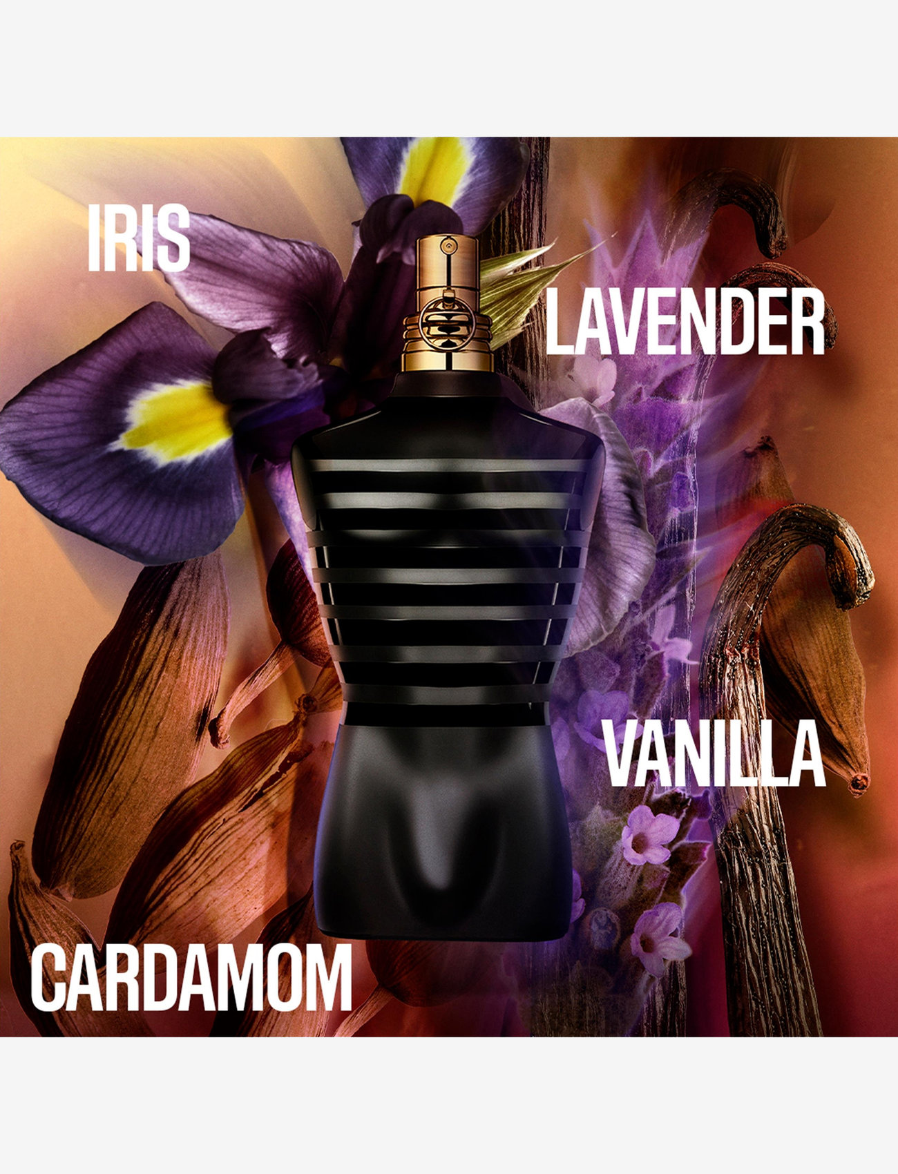 Jean Paul Gaultier - LE MALE LE PARFUM EAU DE PARFUM - til ham  - clear - 3