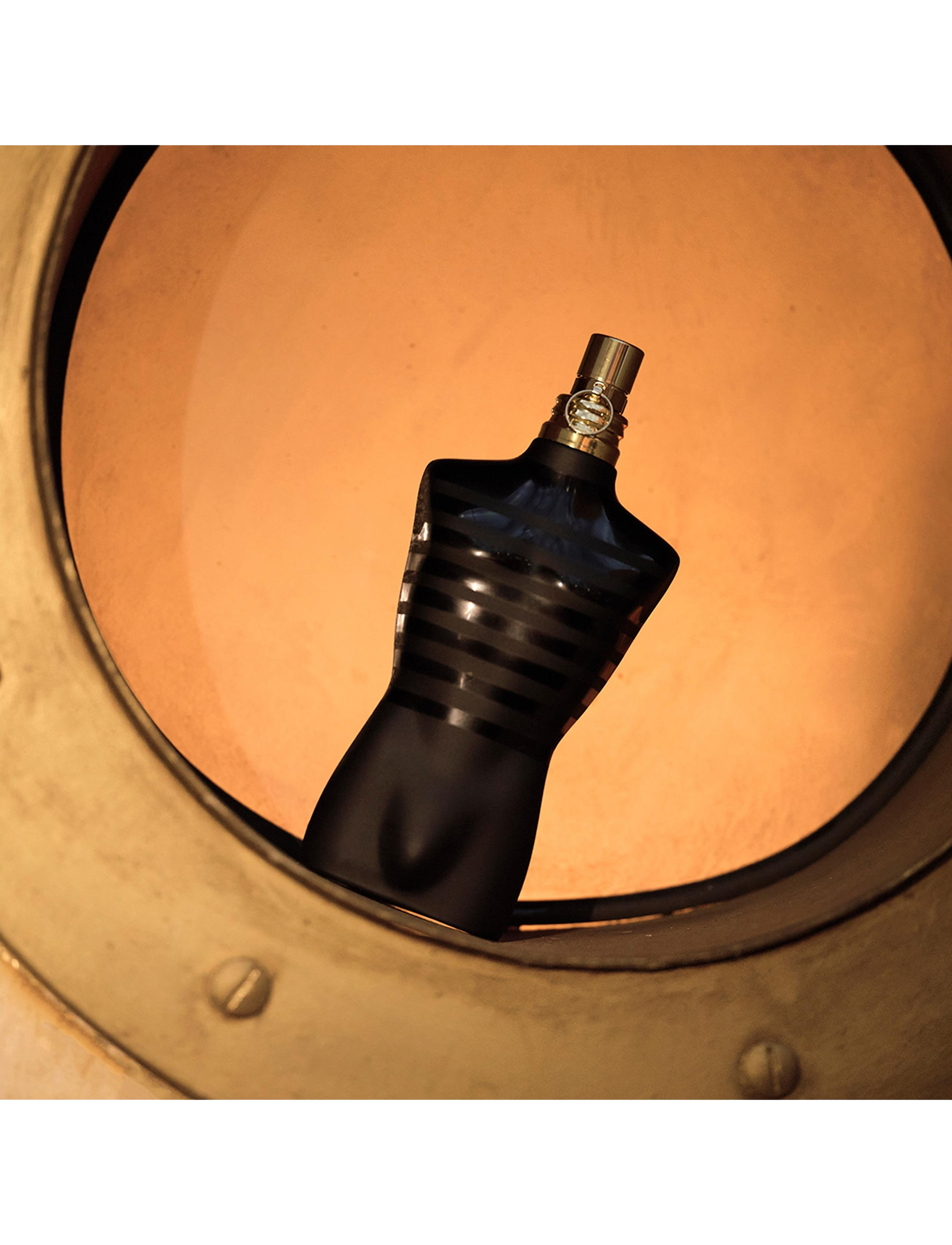 Le Male Le Parfum Eau De Parfum 6