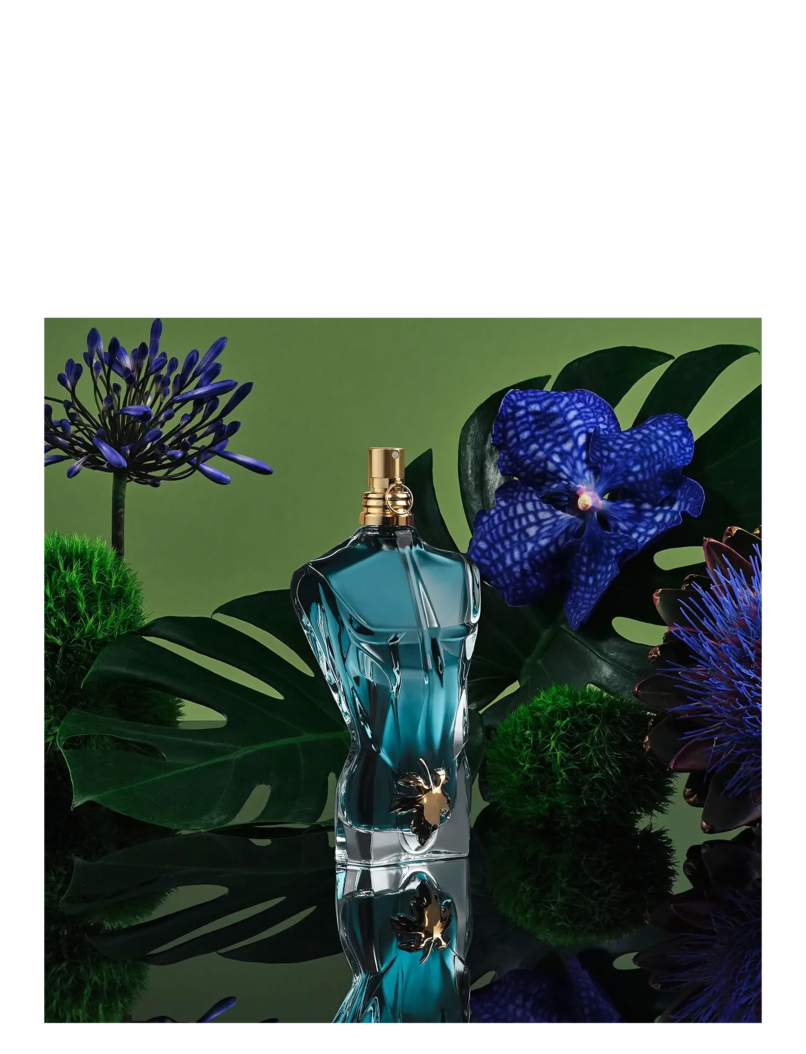 Le Beau Eau De Toilette 6