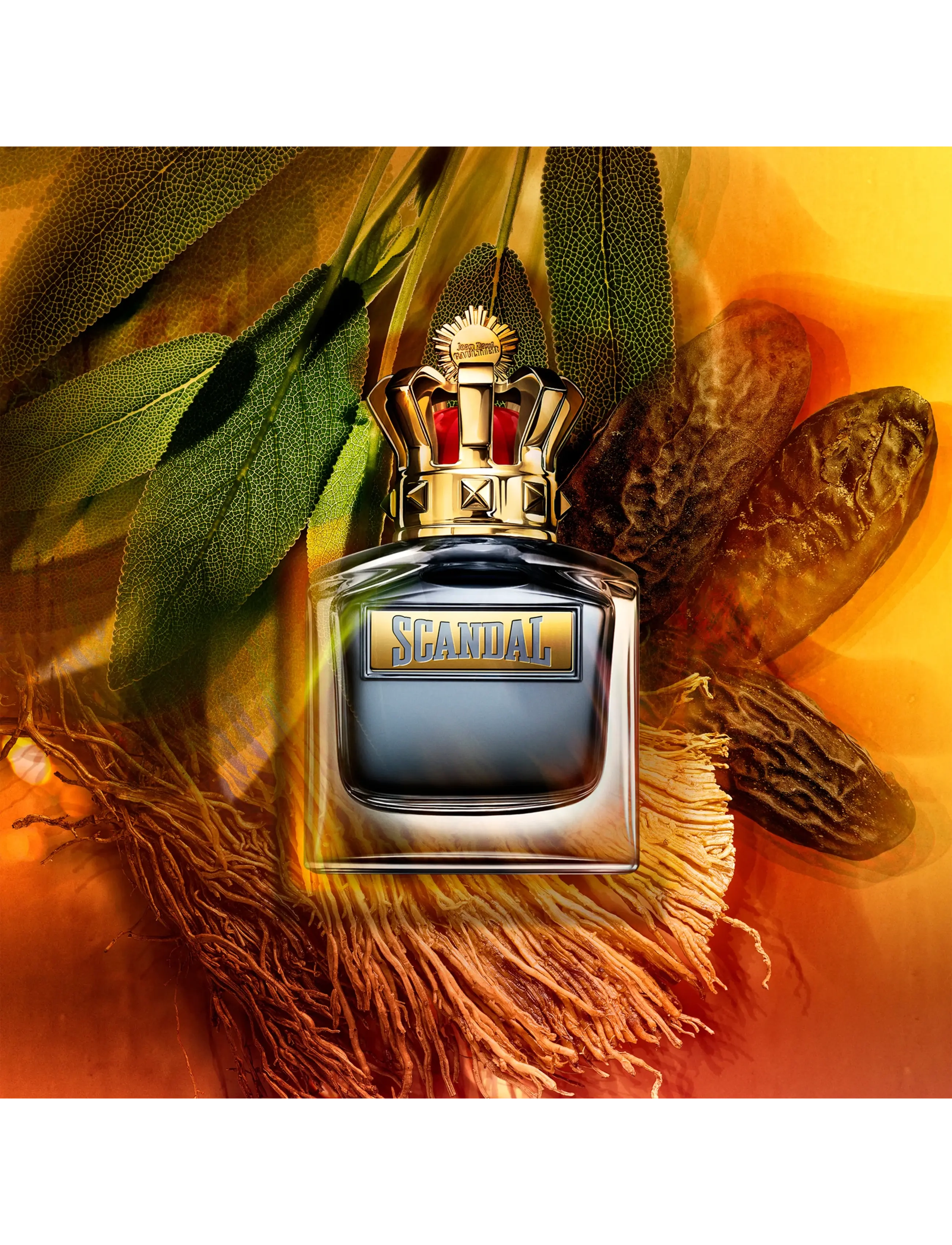 Scandal Pour Homme Eau de Toilette Doftnoter av Salvia, Tonkaböna 10