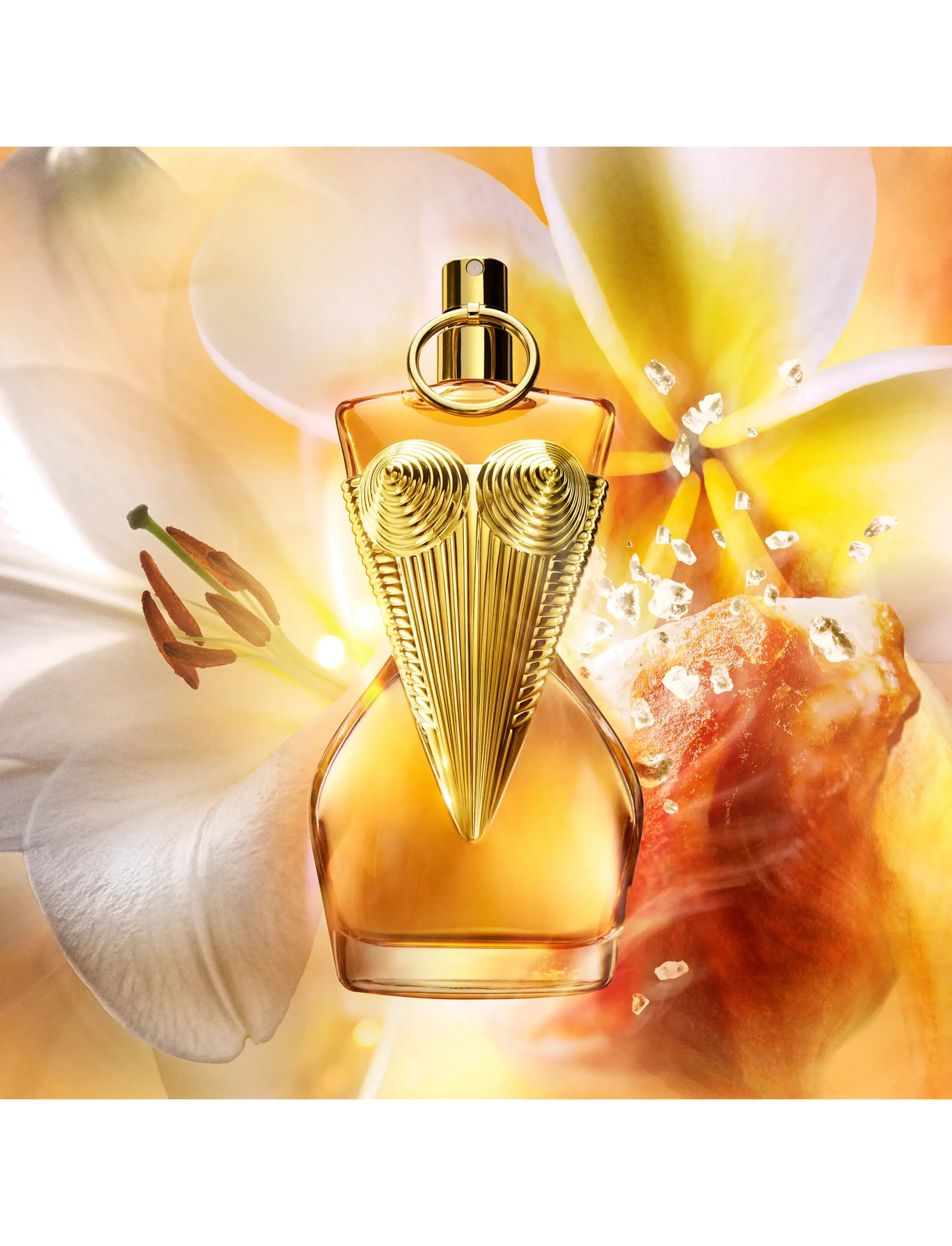 Gaultier Divine le Parfum Parfum floral ambré 4