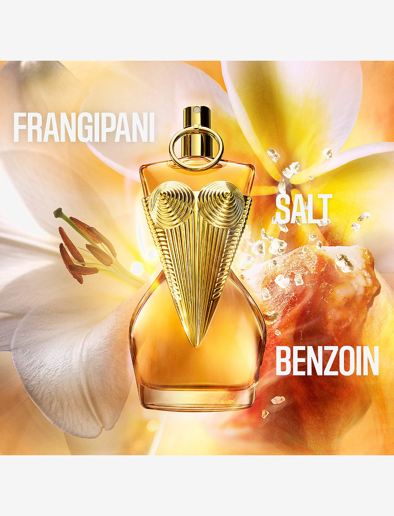 Jean Paul Gaultier - Jean Paul GAULTIER Gaultier Divine Le Parfum Parfum 30 ML - till honom  - clear - 2