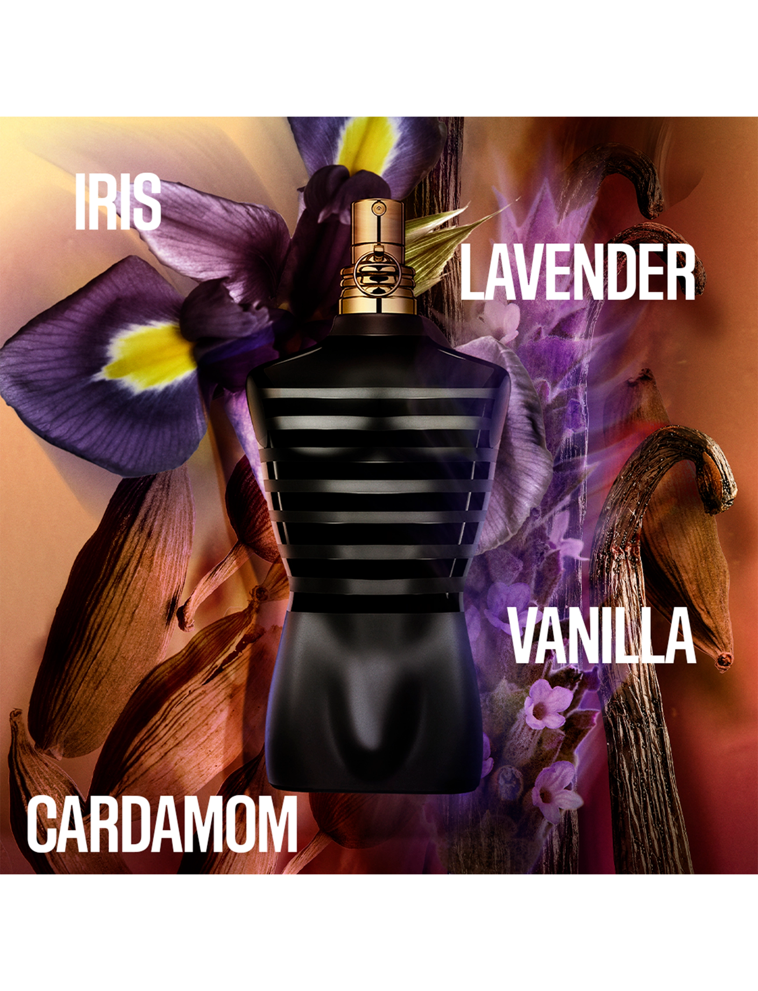 Jean Paul Gaultier - Le Male Eau de Parfum Intense 200 ml - clear - 2