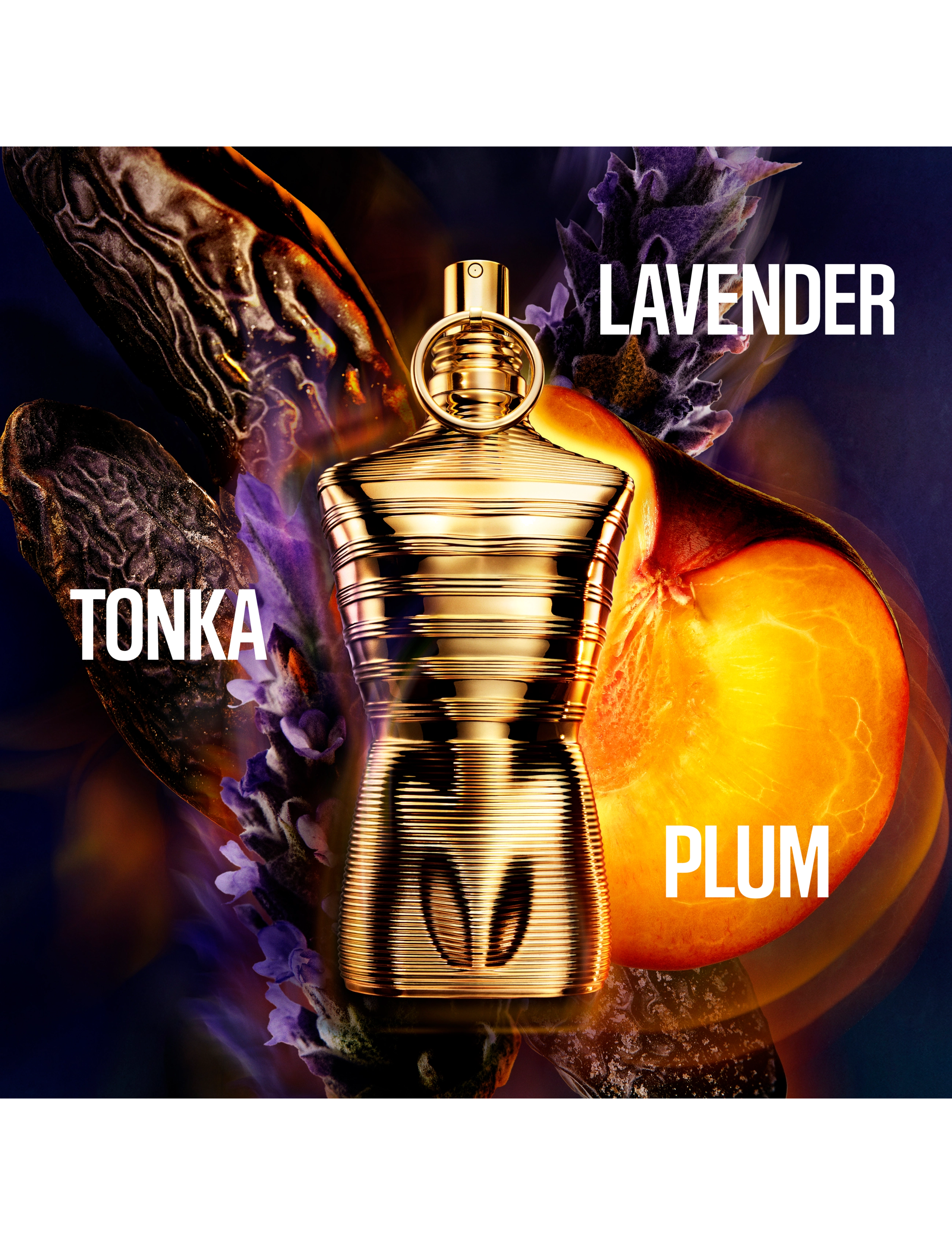 Le Male Elixir Absolu Parfum Intense 4