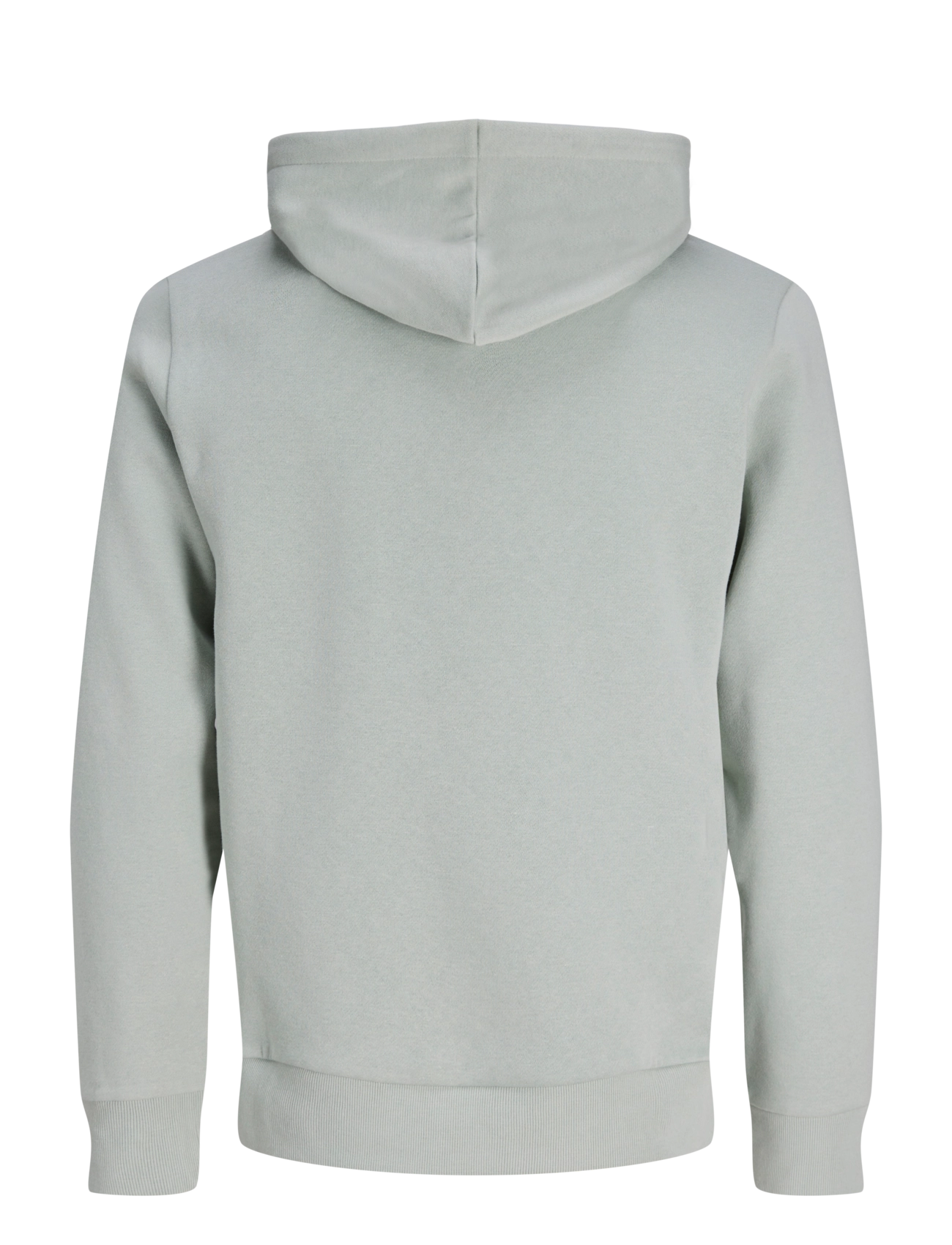 JJ REBEL - JREBREBEL LOGO SWEAT HOOD NOOS - laveste priser - aqua gray - 2