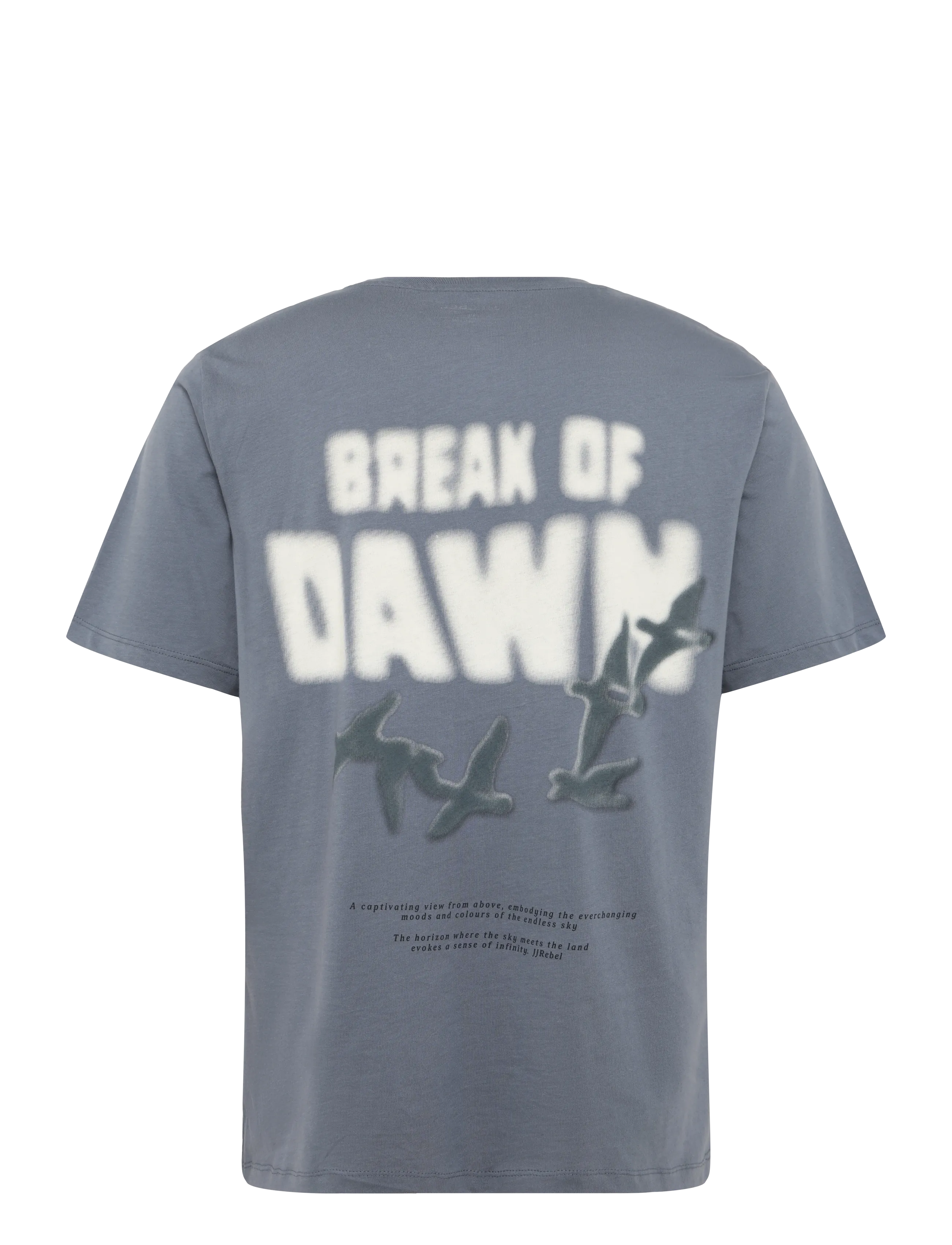 JJ REBEL - JREBRILEY SS TEE - die niedrigsten preise - folkstone gray - 2