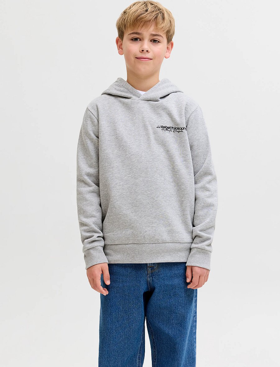 JJ REBEL - JREBZACK SWEAT HOOD NOOS JNR - kapuutsiga pusad - light grey melange - 0