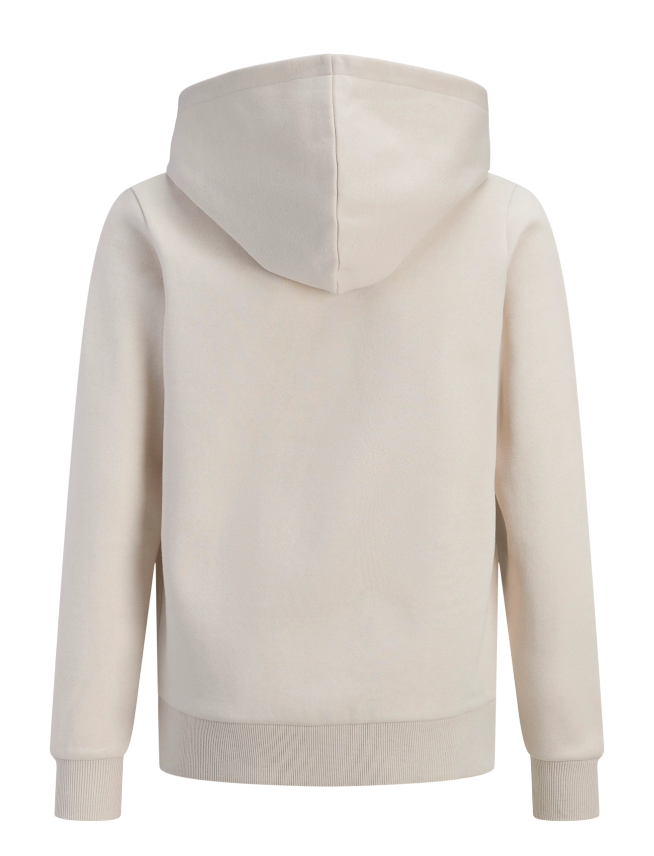 JJ REBEL - JREBREBEL LOGO SWEAT HOOD NOOS JNR - kapuzenpullover - moonbeam - 2