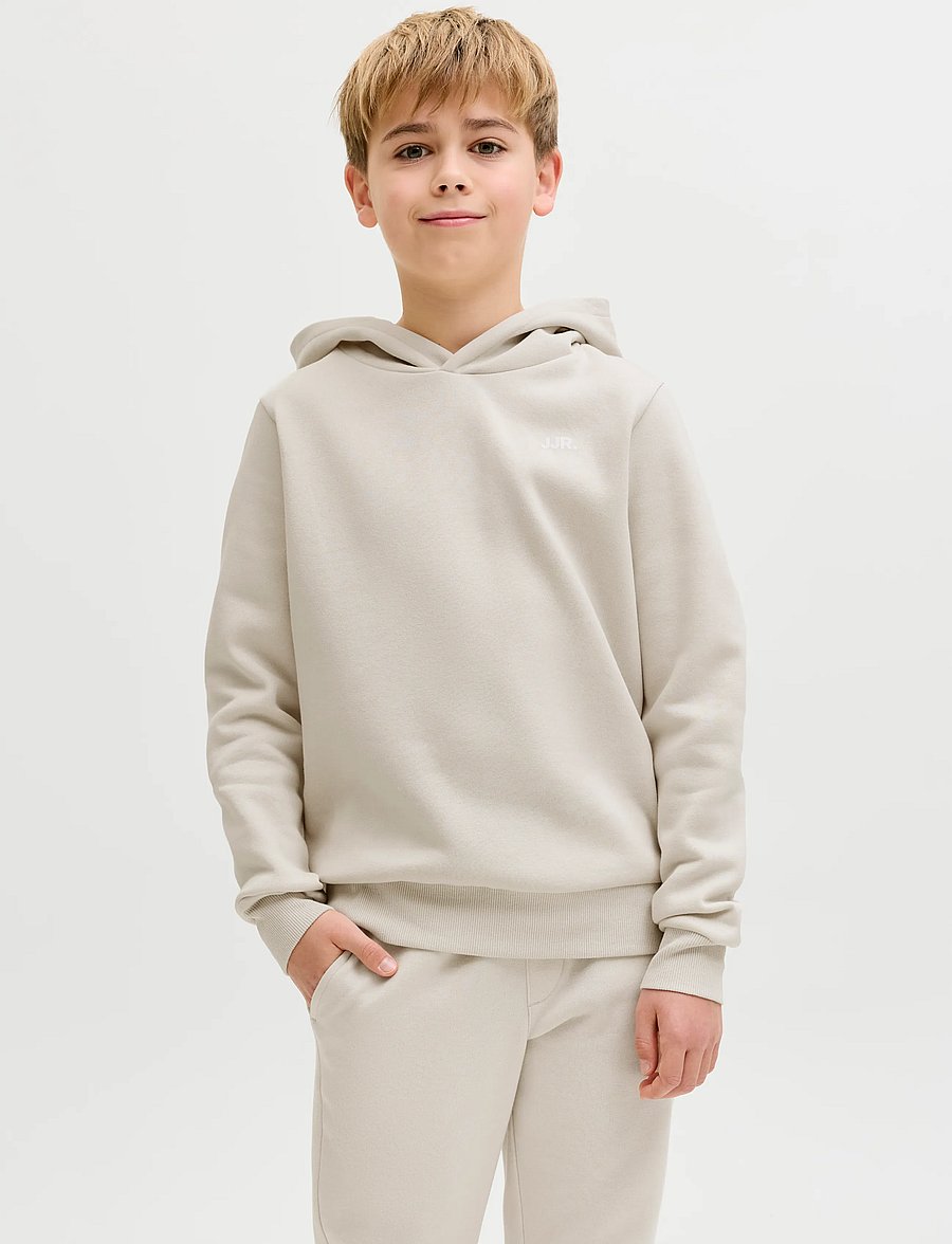 JJ REBEL - JREBREBEL LOGO SWEAT HOOD NOOS JNR - kapuutsiga pusad - moonbeam - 0