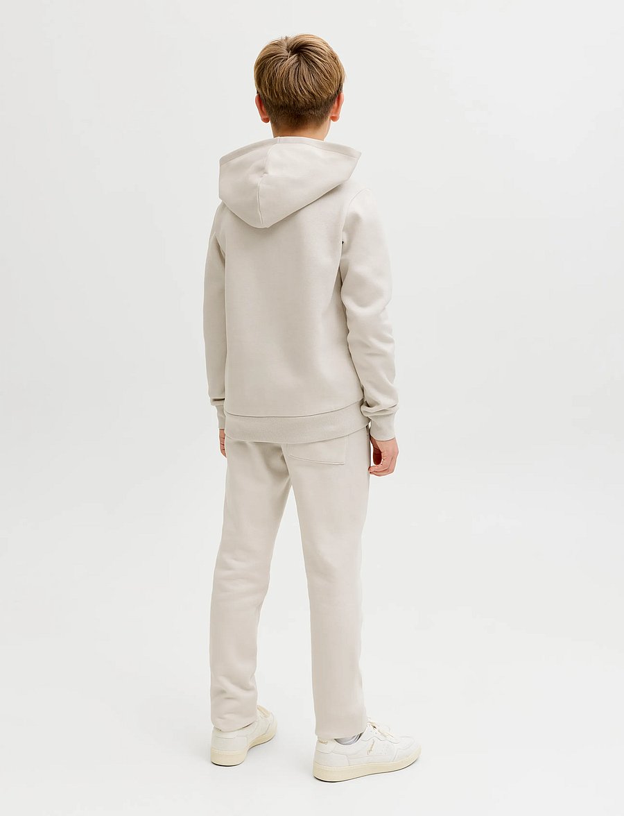 JJ REBEL - JREBREBEL LOGO SWEAT HOOD NOOS JNR - kapuutsiga pusad - moonbeam - 3