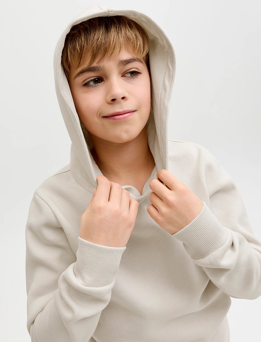 JJ REBEL - JREBREBEL LOGO SWEAT HOOD NOOS JNR - kapuutsiga pusad - moonbeam - 5