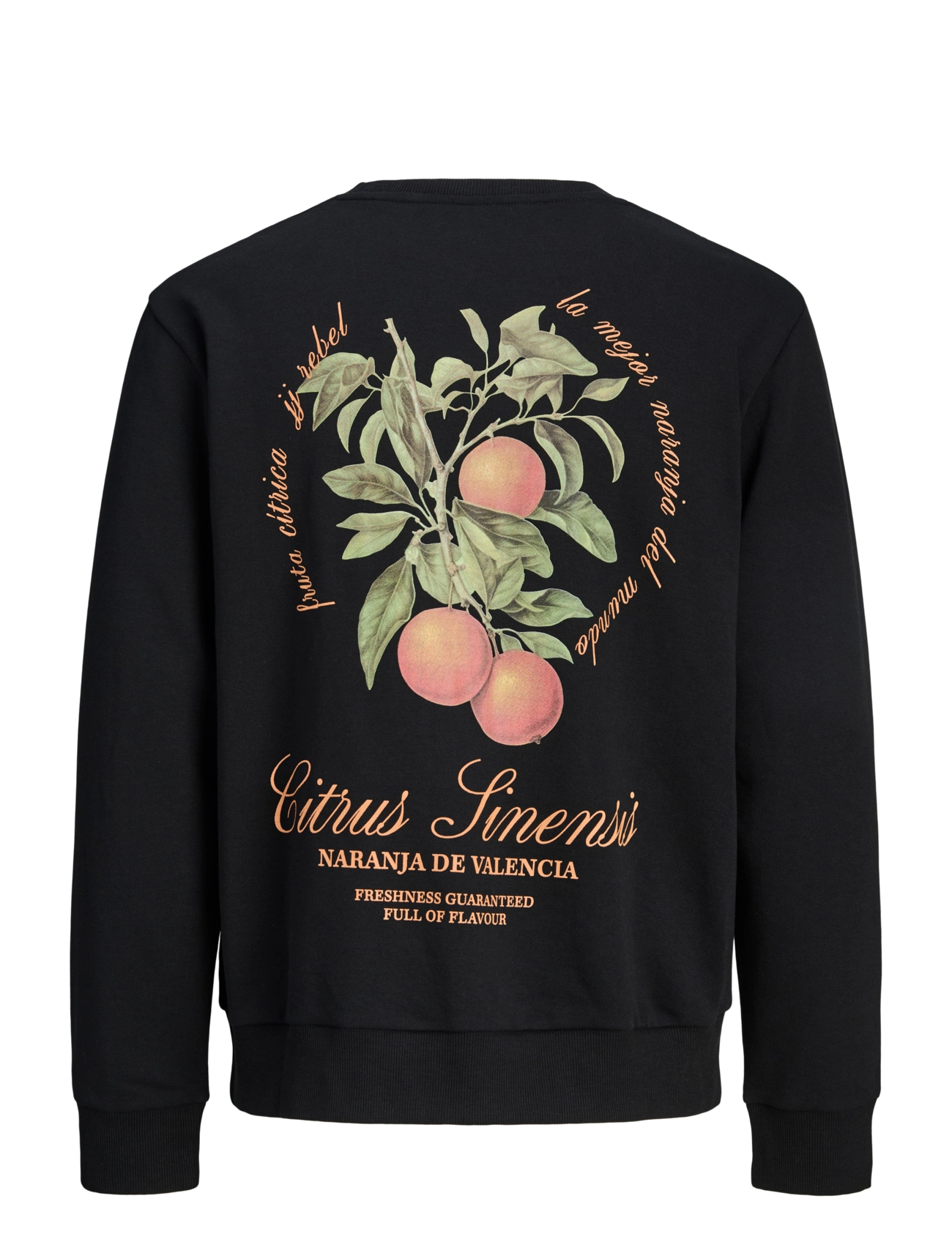JJ REBEL - JREBAARON SWEAT CREW NECK - black - 1