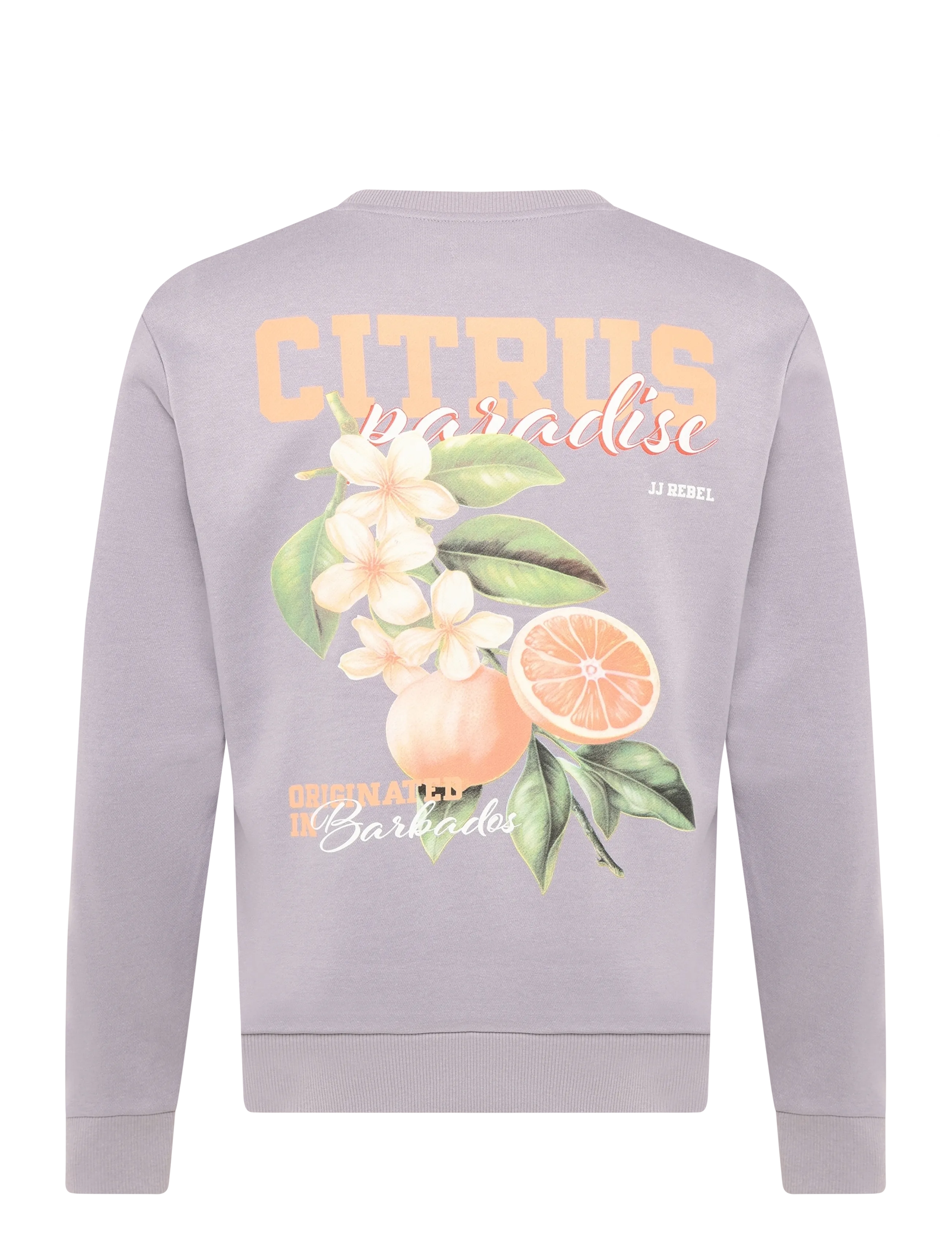 JJ REBEL - JREBAARON SWEAT CREW NECK - lowest prices - lavender aura - 1