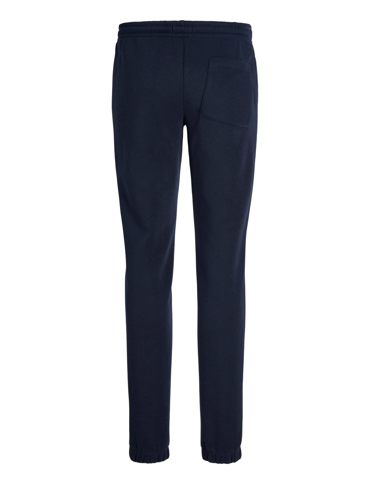 JJ REBEL - JREBGORM REG REBEL LOGO SW PANT NOOS JNR - sweatpants - sky captain - 2