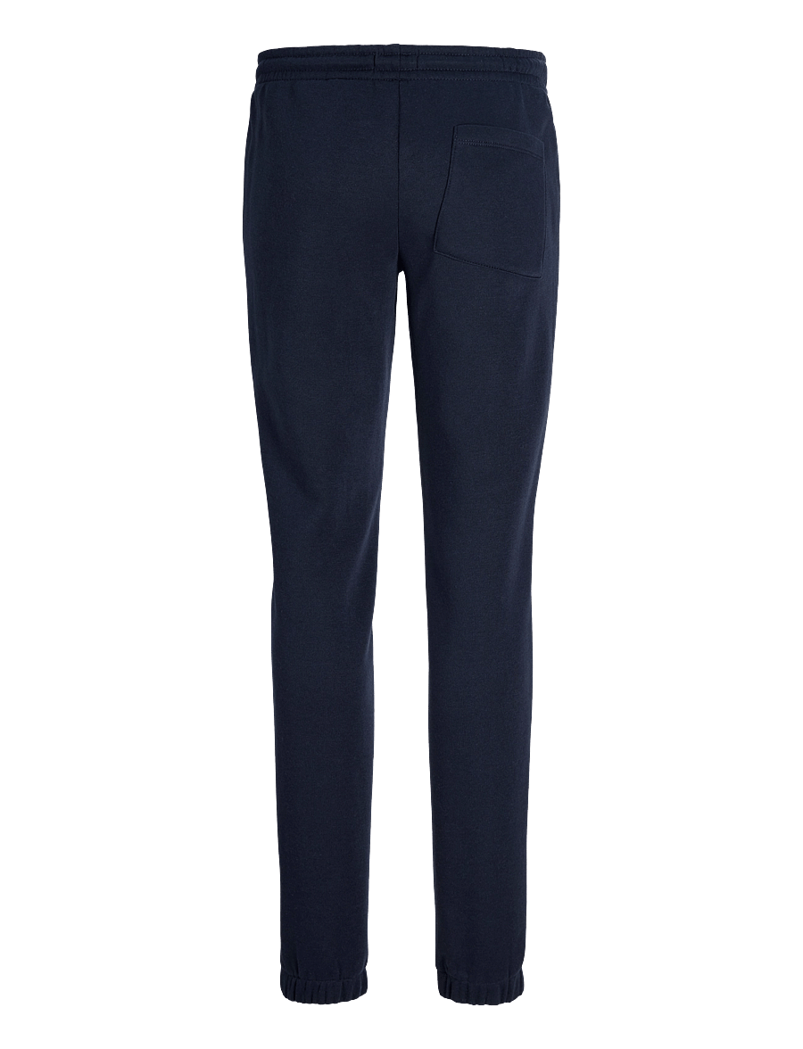 JJ REBEL - JREBGORM REG REBEL LOGO SW PANT NOOS JNR - jogginghosen - sky captain - 2