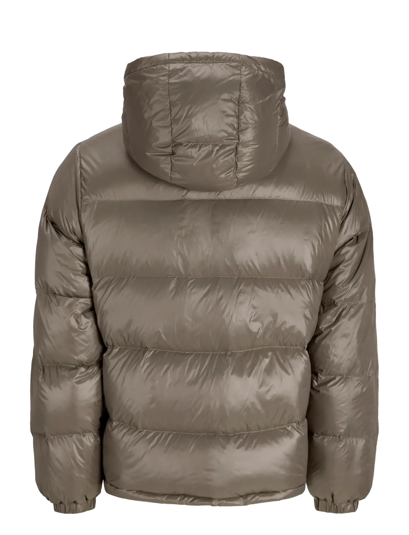 JJ Sport - JCOCLUB SHINY PUFFER JACKET BF LN - winterjacken - falcon - 1