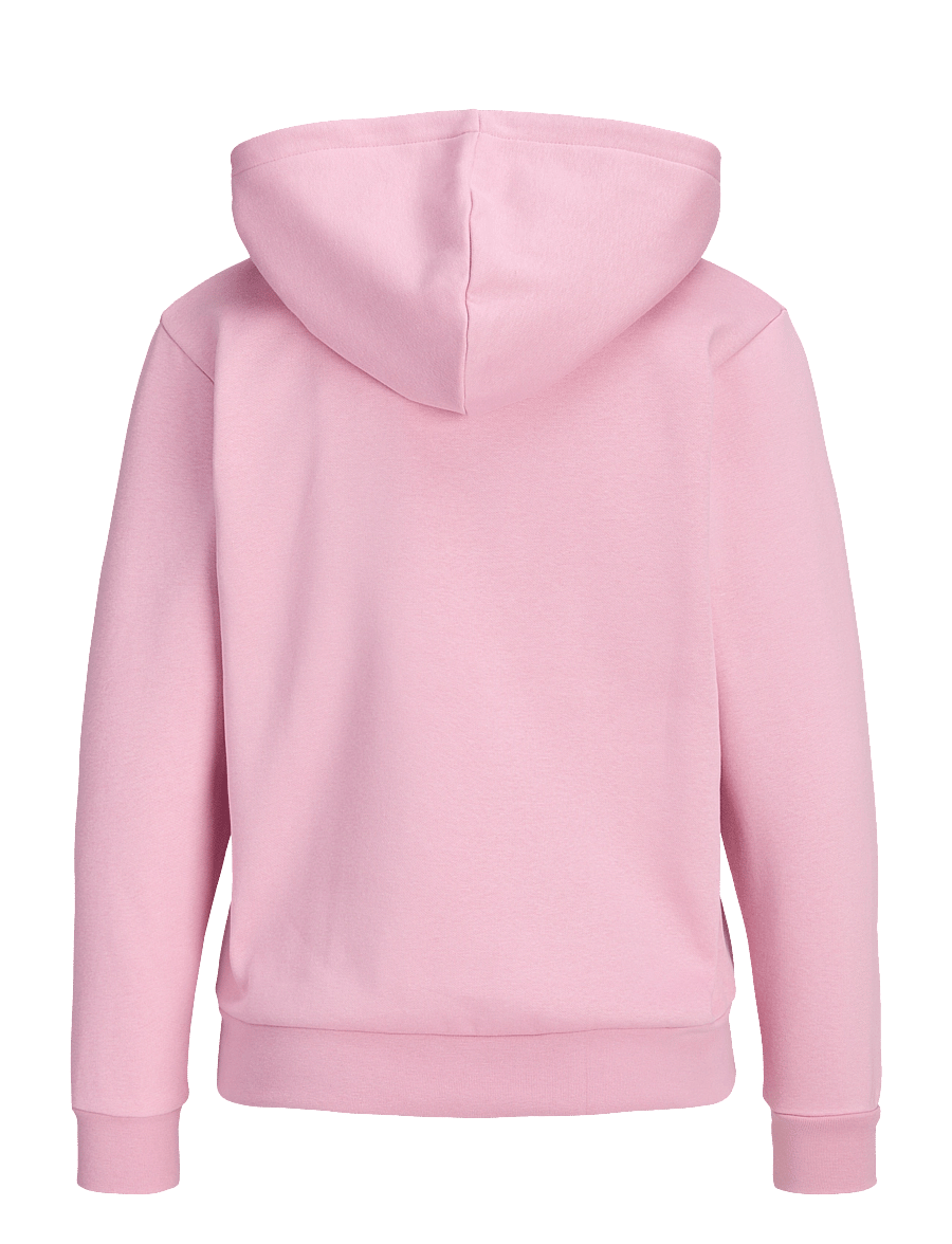 JJXX Kids - JXABBIE LS EVERY HOOD SWT NOOS GRL - kapuzenpullover - orchid smoke - 2