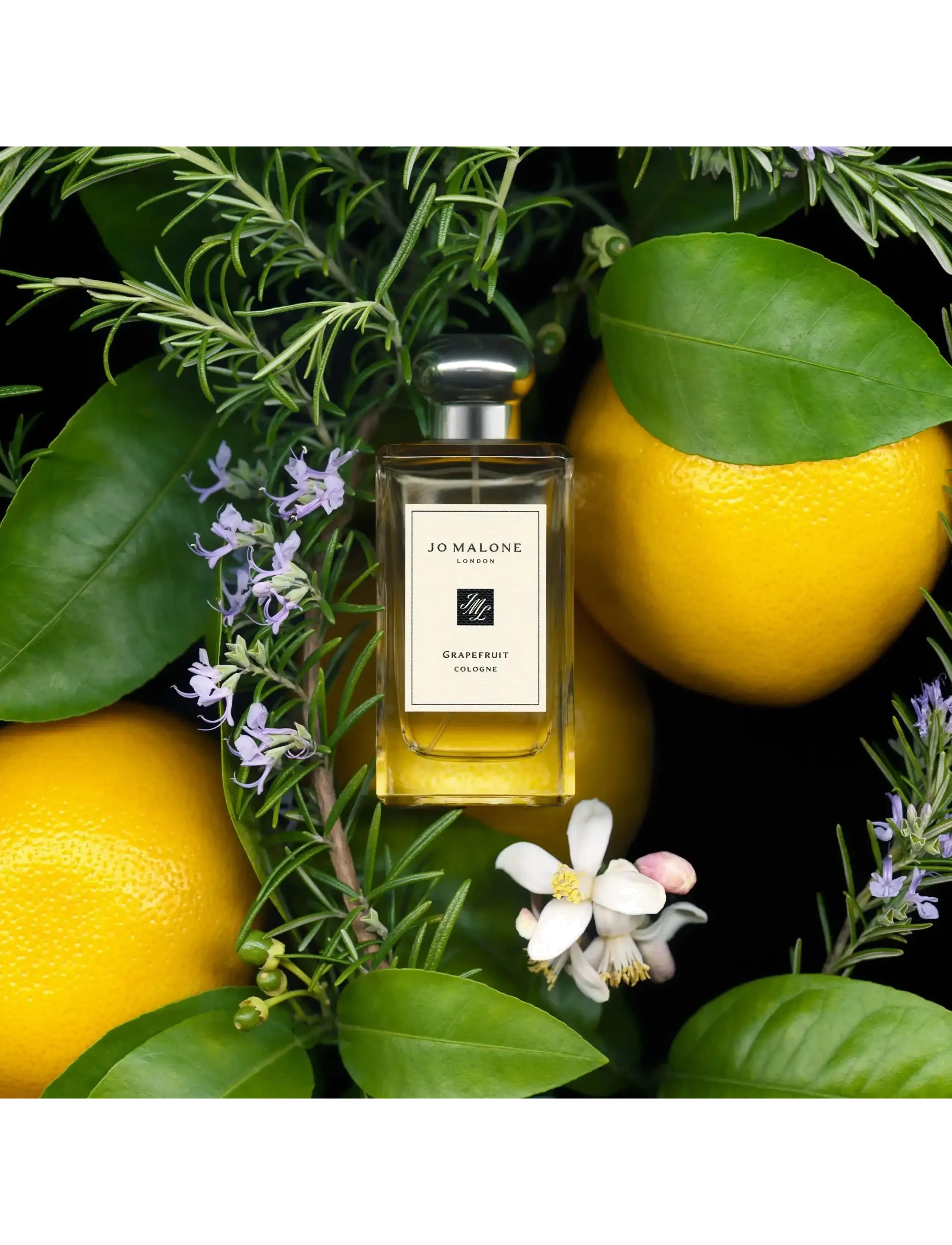 Grapefruit Cologne 4