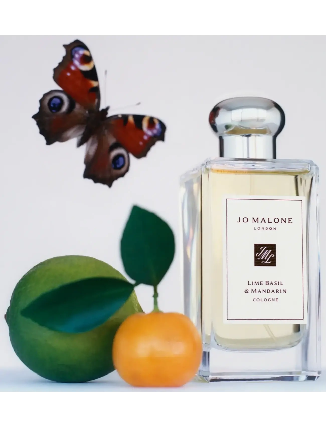 Lime Basil & Mandarin Cologne 4