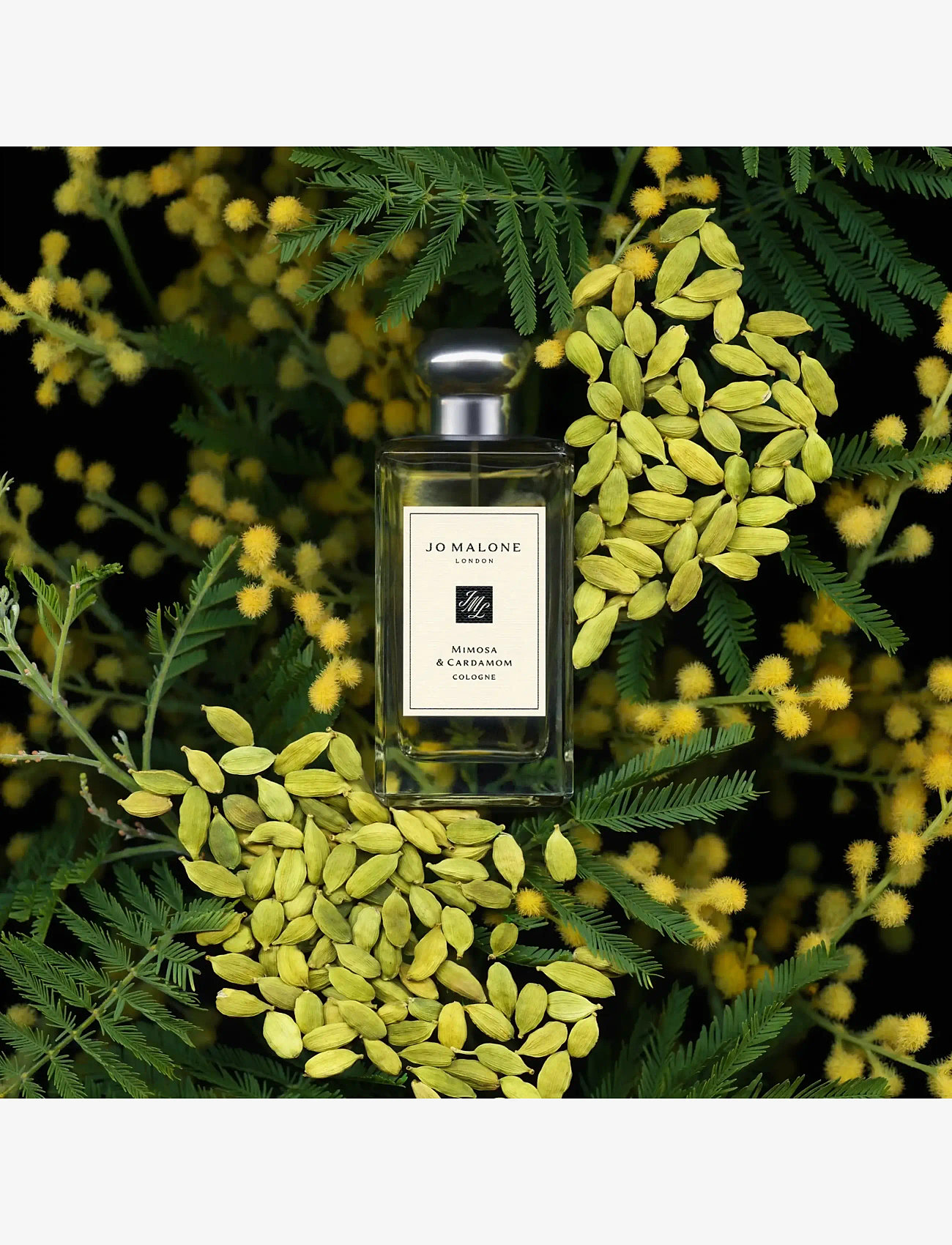 Jo Malone London - Mimosa & Cardemom Cologne - unisex - clear - 3