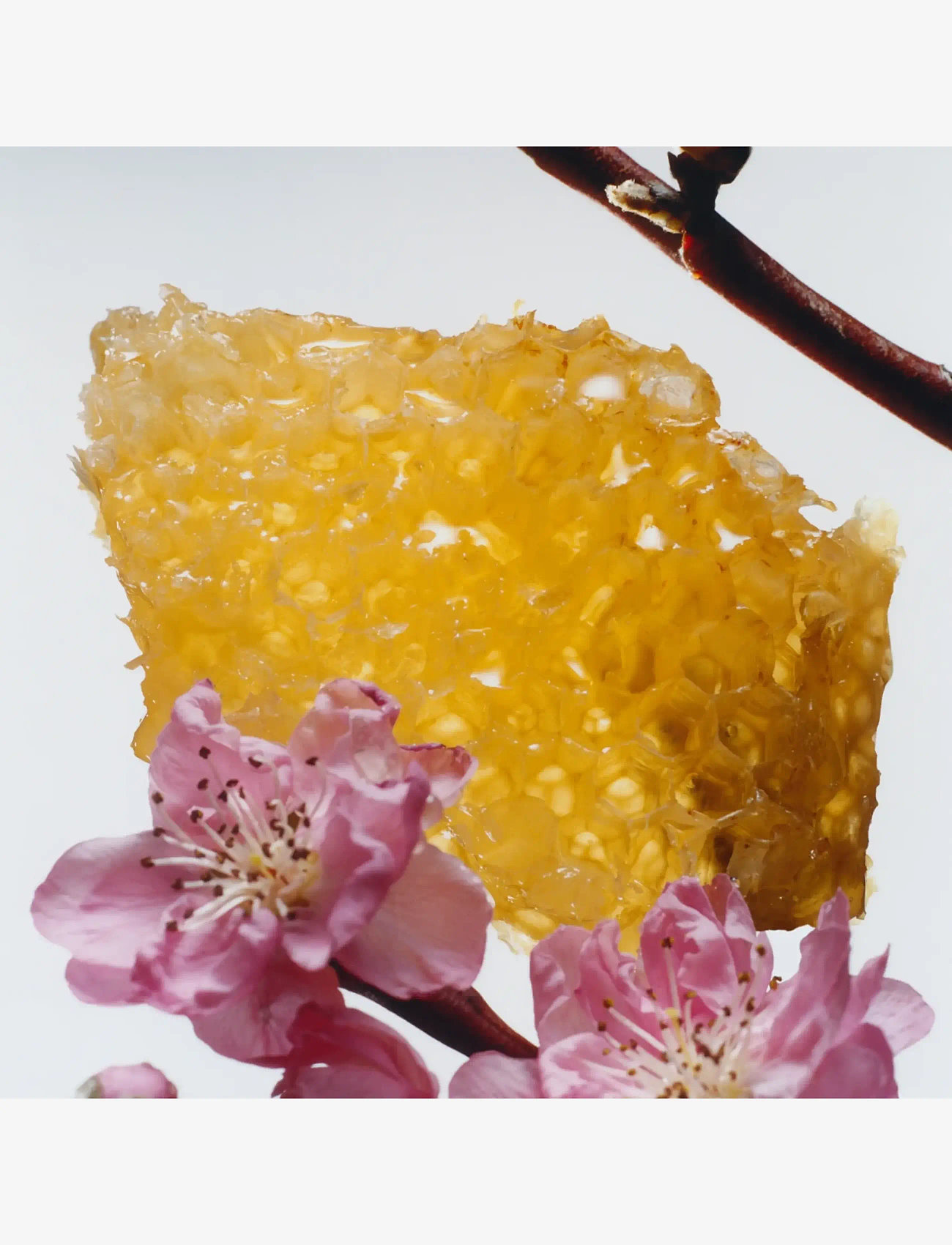 Jo Malone London - Nectrarin Blossom & Honey Cologne - unisex - clear - 2