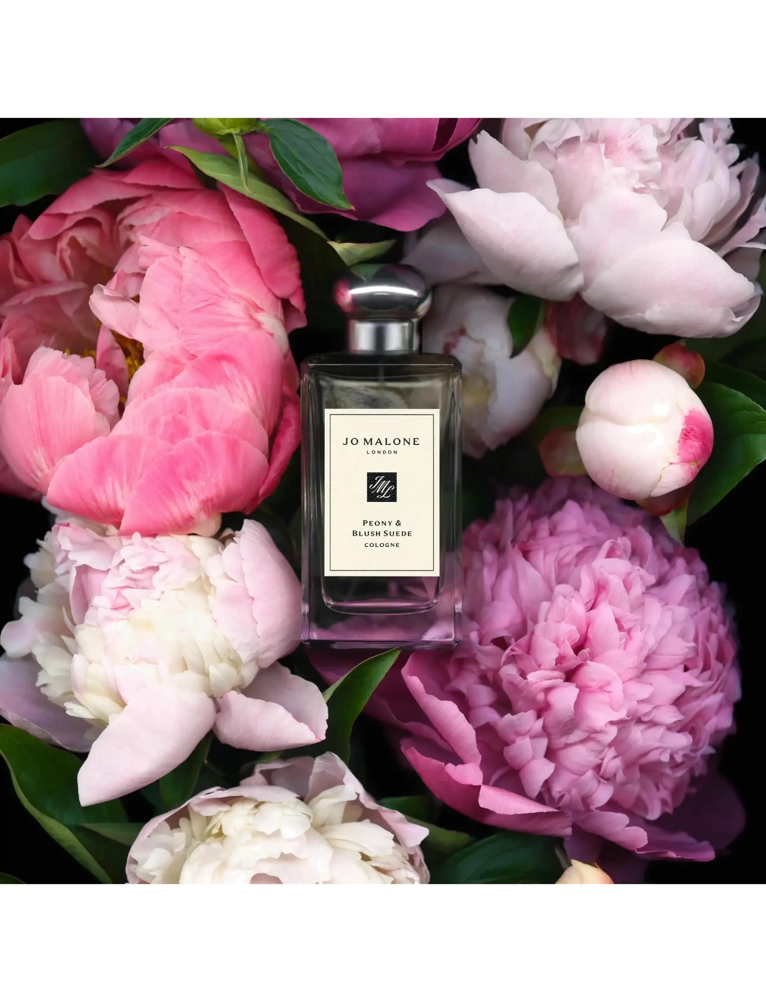 Peony & Blush Suede Cologne 4