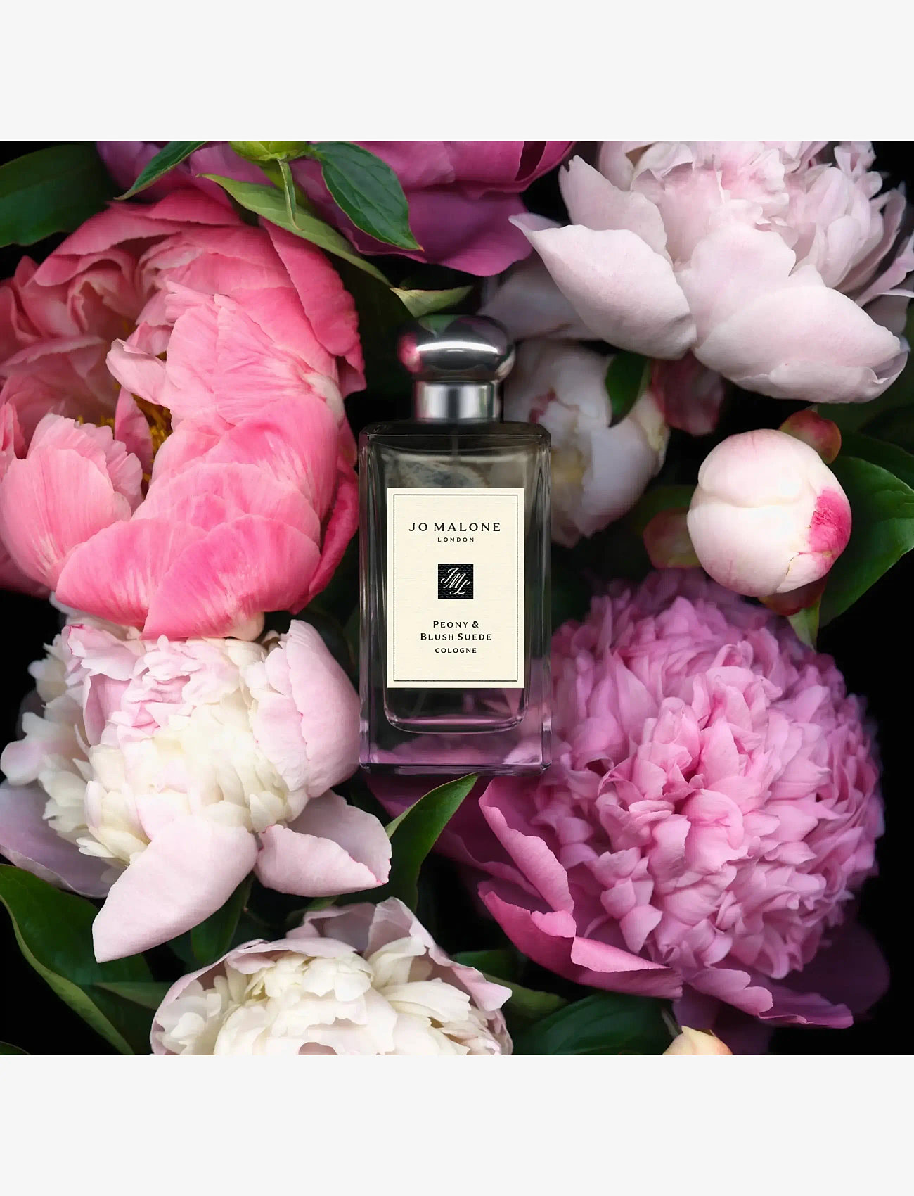 Jo Malone London - Peony & Blush Suede Cologne - unisex - clear - 3