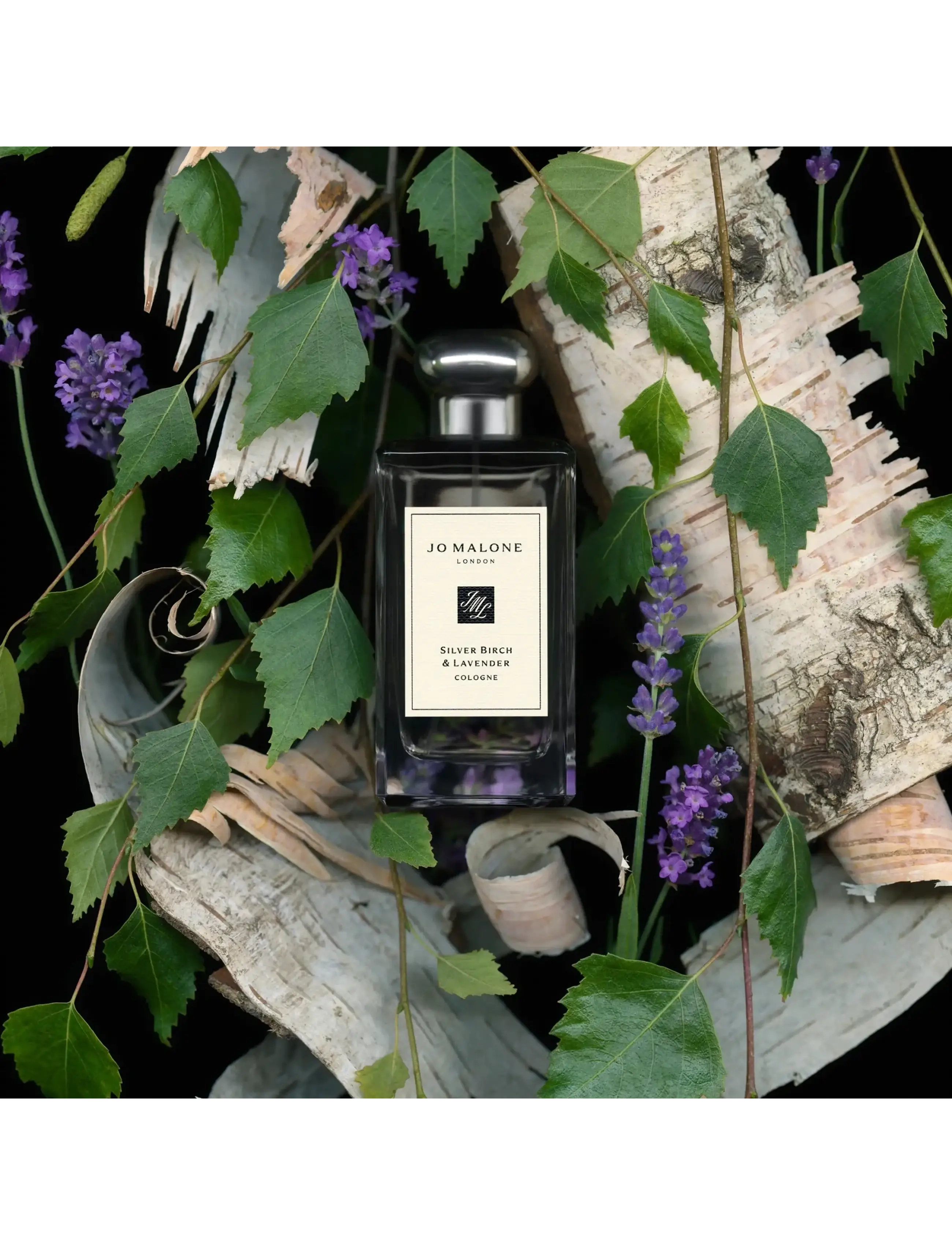 Silver Birch & Lavender Cologne 4