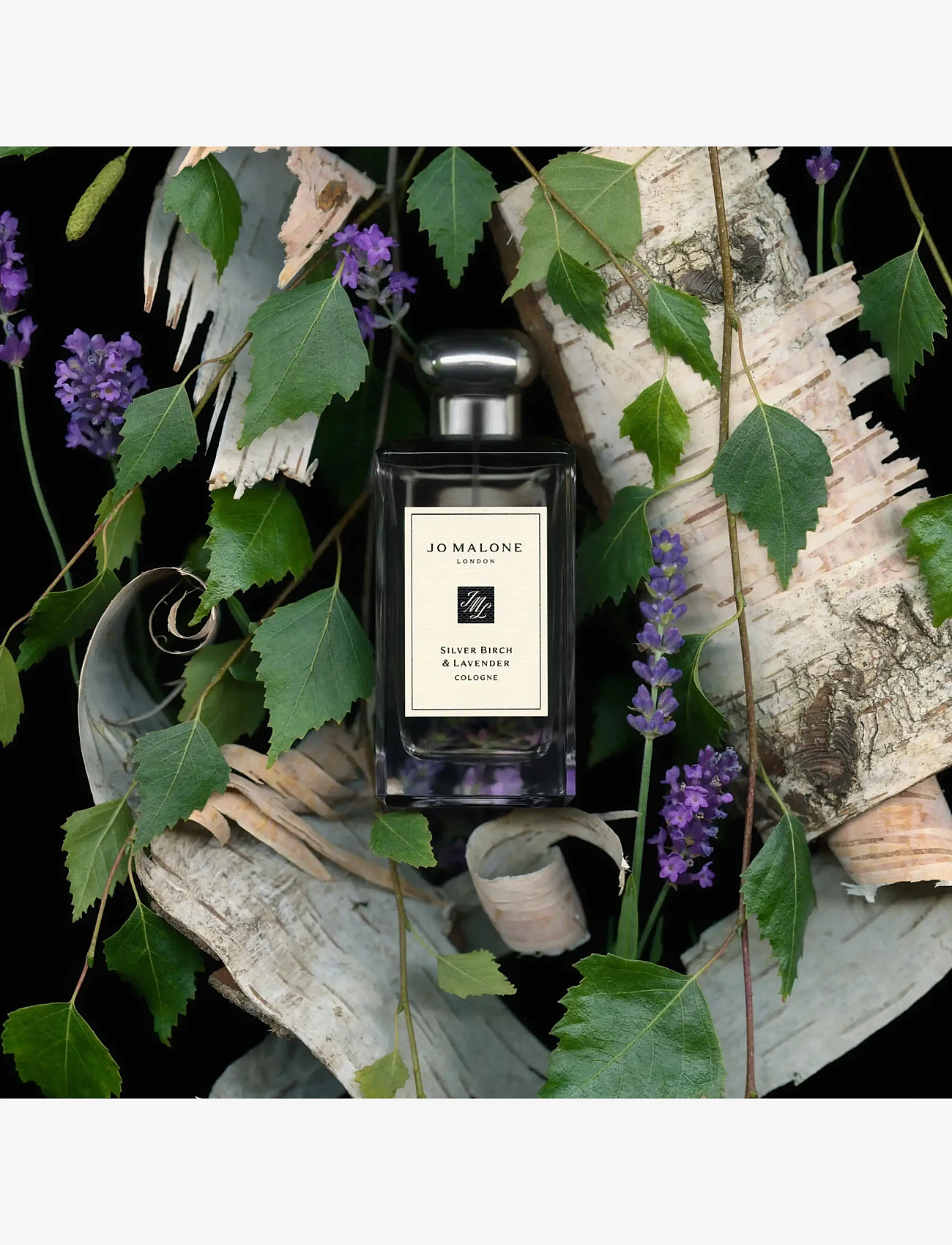 Jo Malone London - Silver Birch & Lavender Cologne - unisex - clear - 3