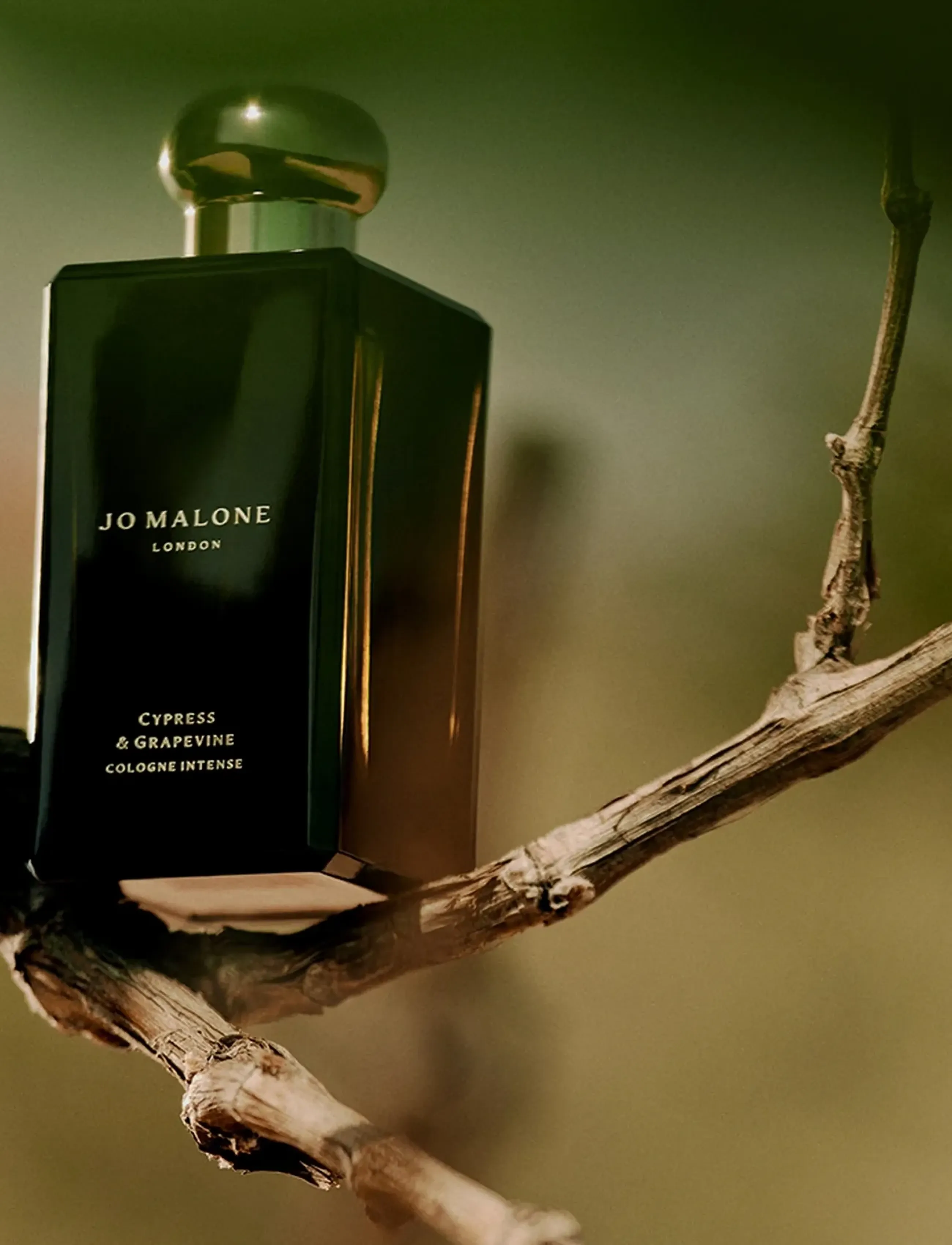 Jo Malone London - Cypress & Grapevine Cologne Intense - unisex - clear - 3