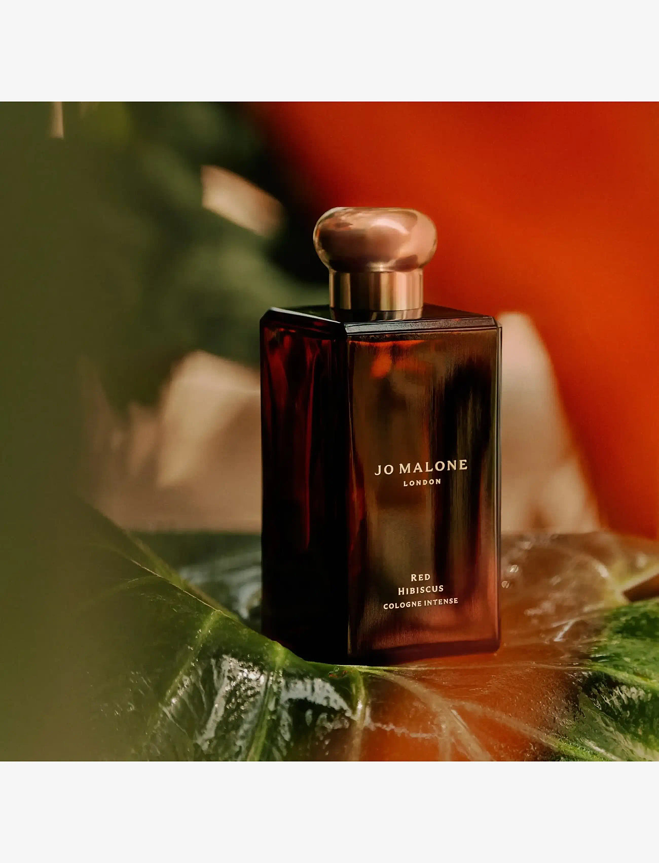 Jo Malone London - Red Hibiscus Cologne Intense - unisex - clear - 3