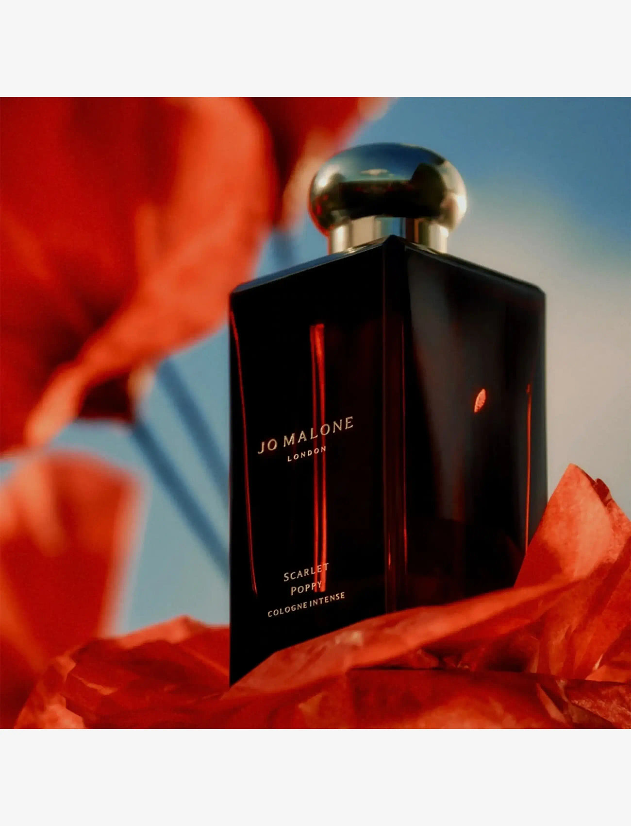 Jo Malone London - Scarlet & Poppy Cologne Intense - unisex - clear - 4