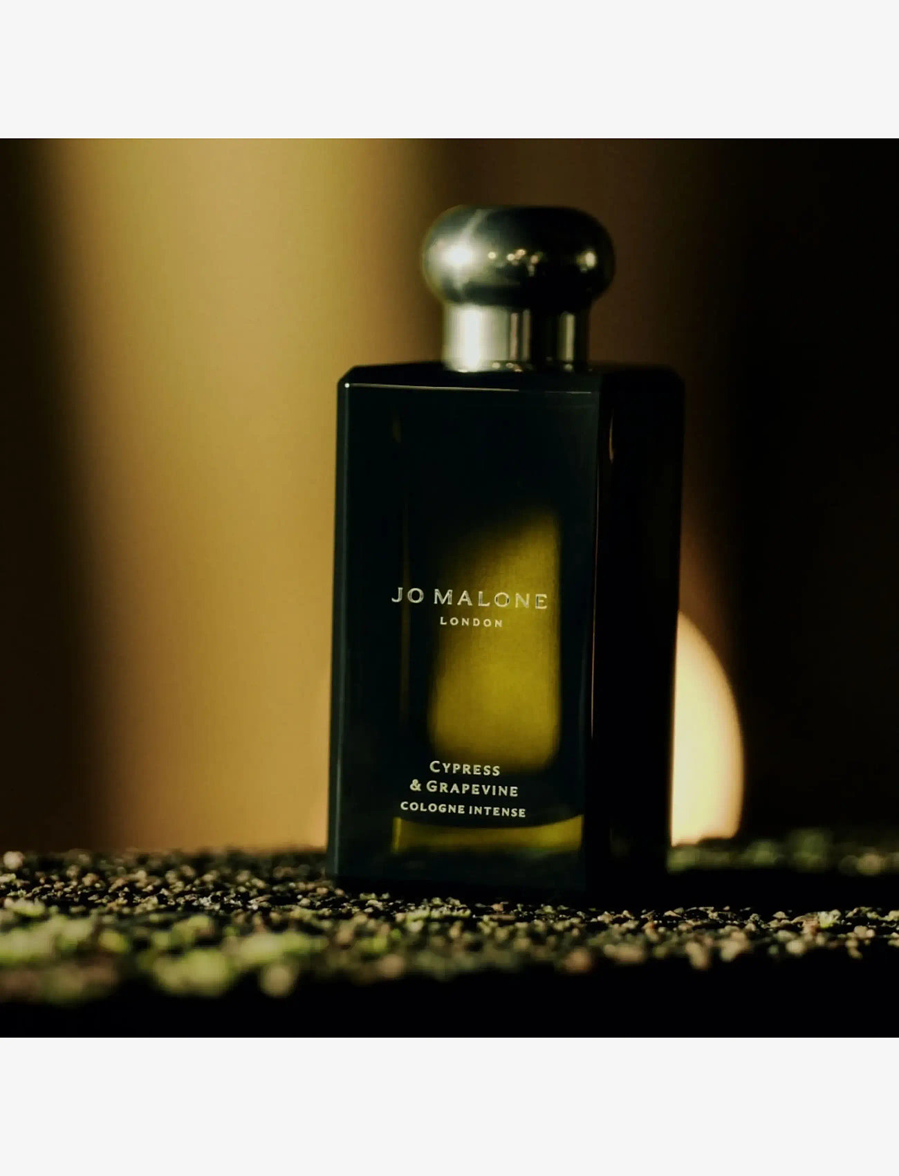 Jo Malone London - Cypress & Grapevine Cologne Intense - unisex - clear - 3